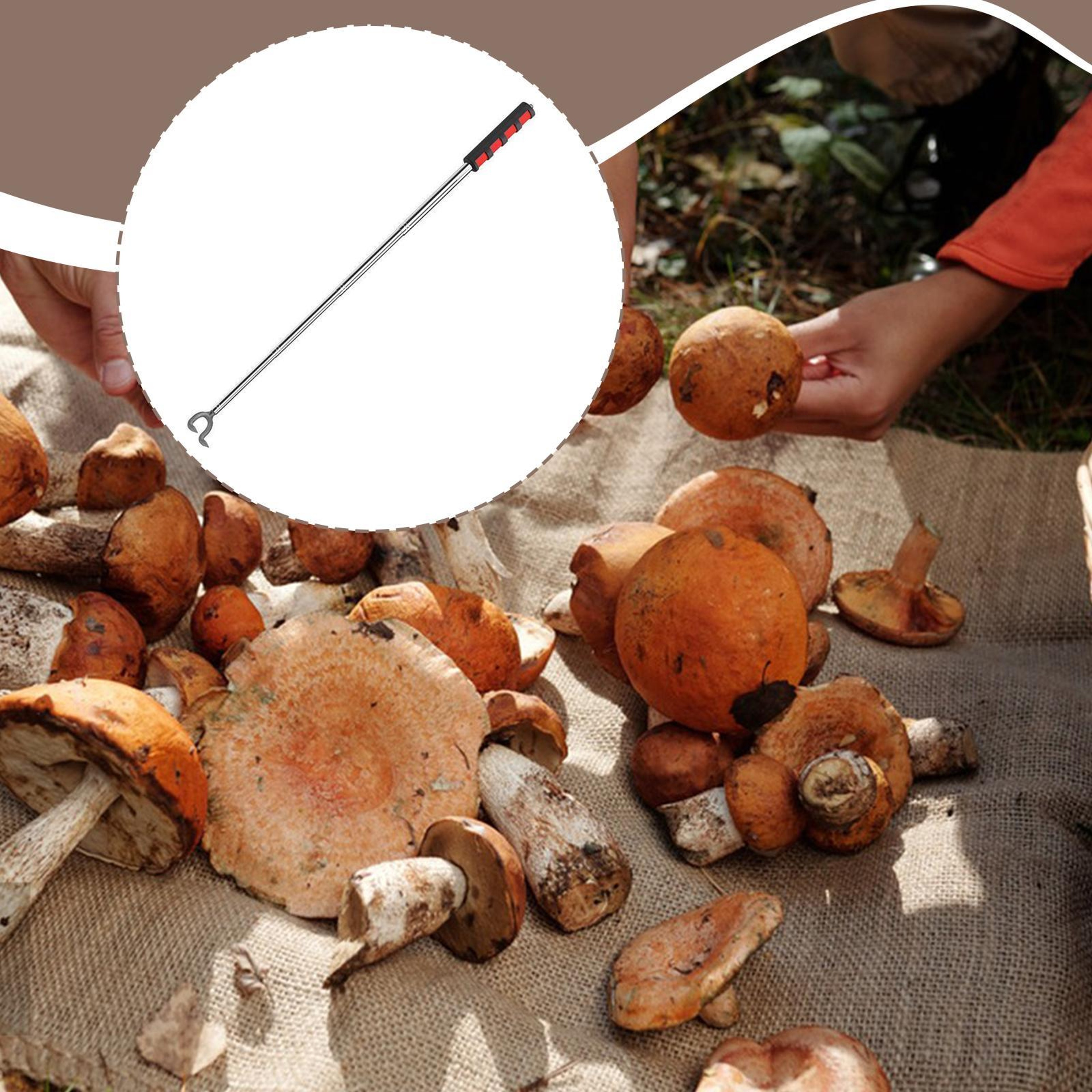 Telescopic Mushroom Picking Tool Adjustable Stainless Steel Foraging Picker 2