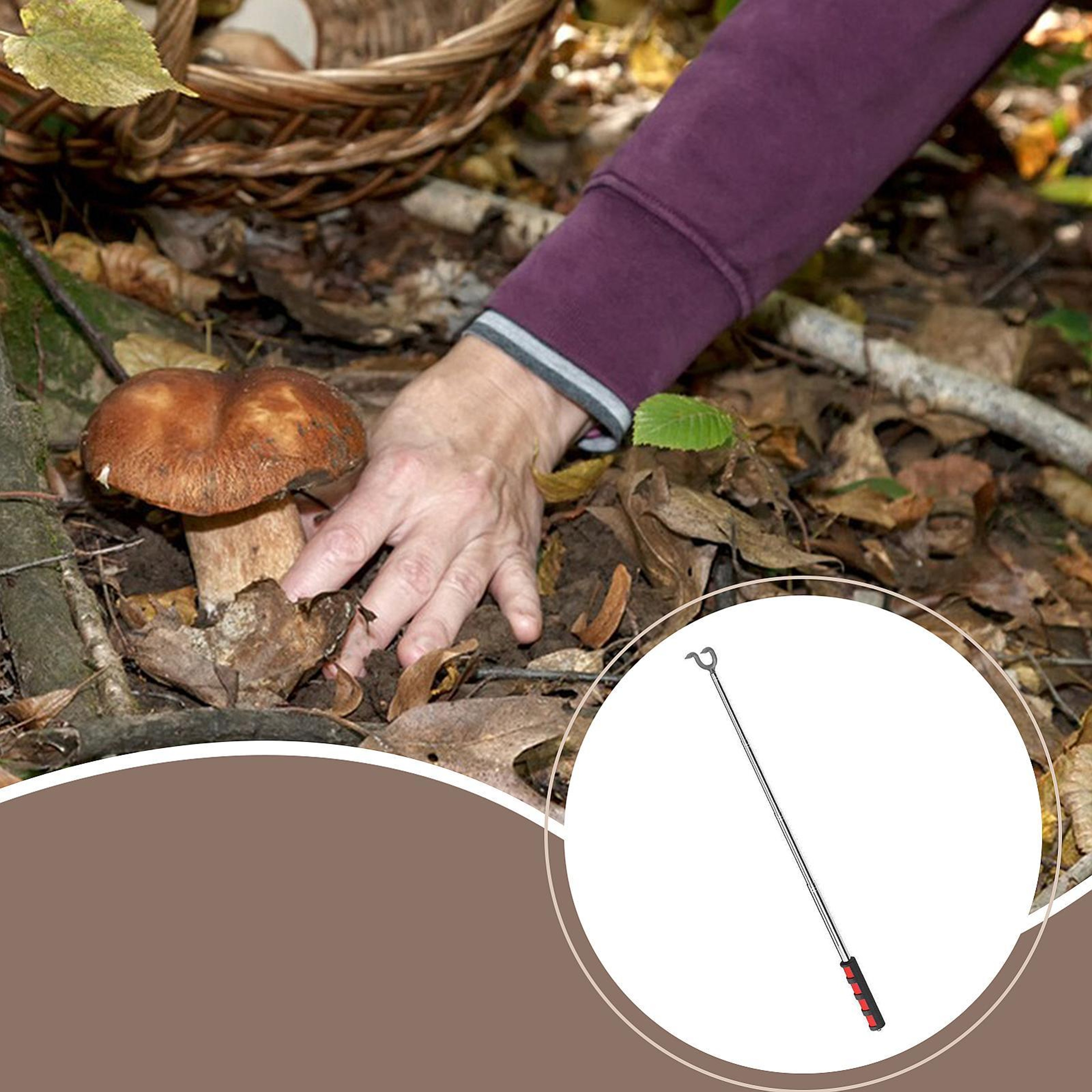 Telescopic Mushroom Picking Tool Adjustable Stainless Steel Foraging Picker 3