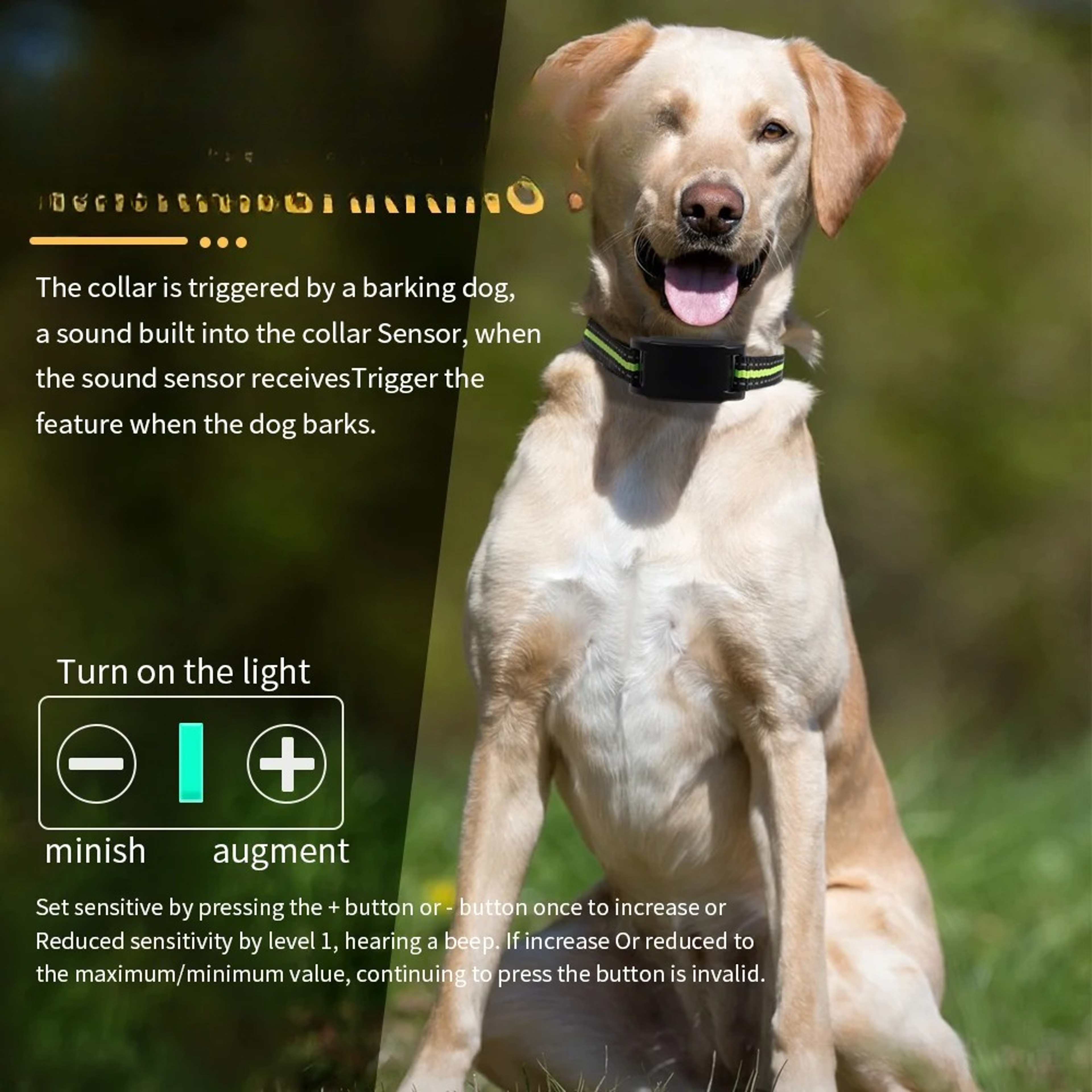 Smart Rechargeable Dog Training Collar Anti Bark Beep  Safe Correction 3
