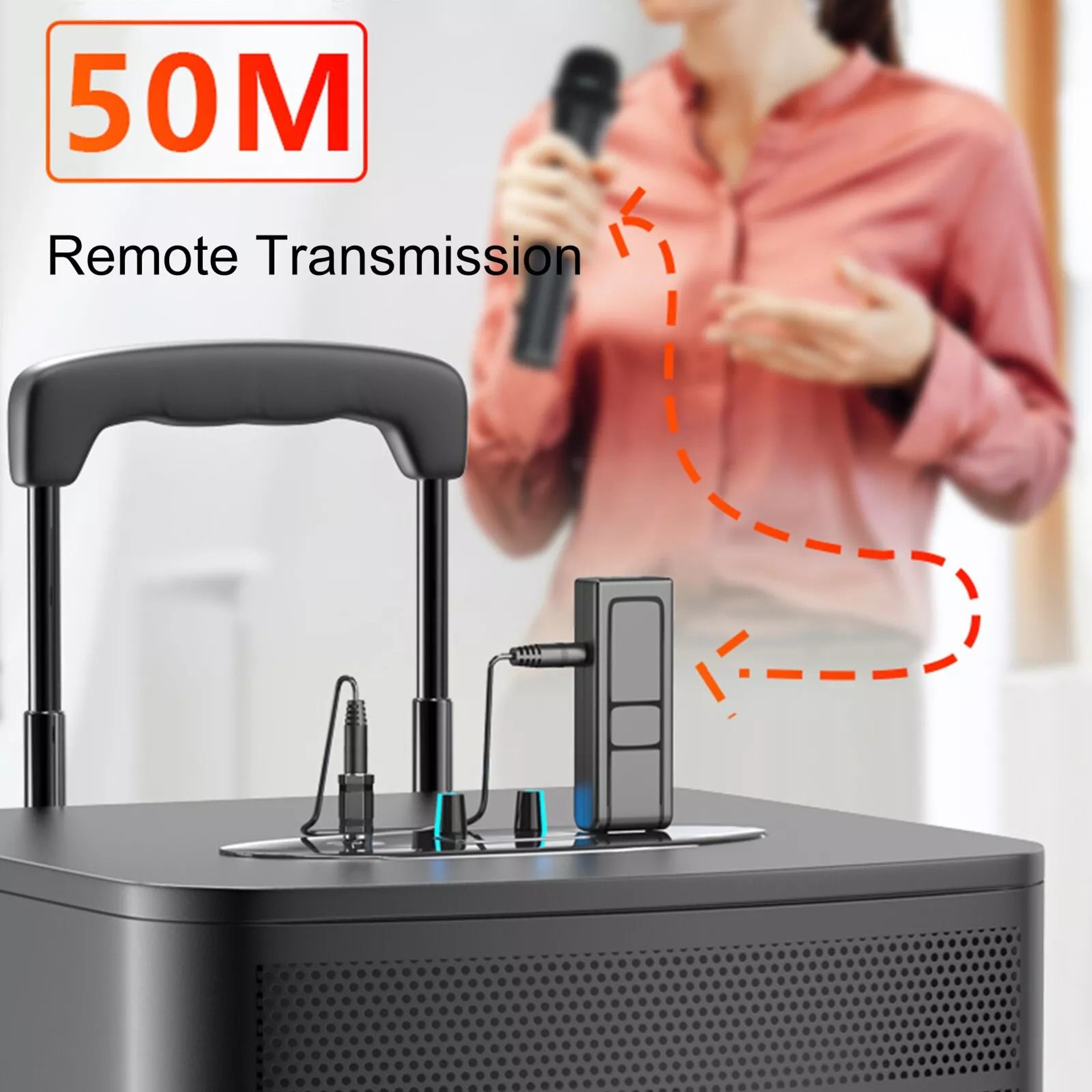 Wireless Mic Professional Handheld Microphone System USB Receiver 8