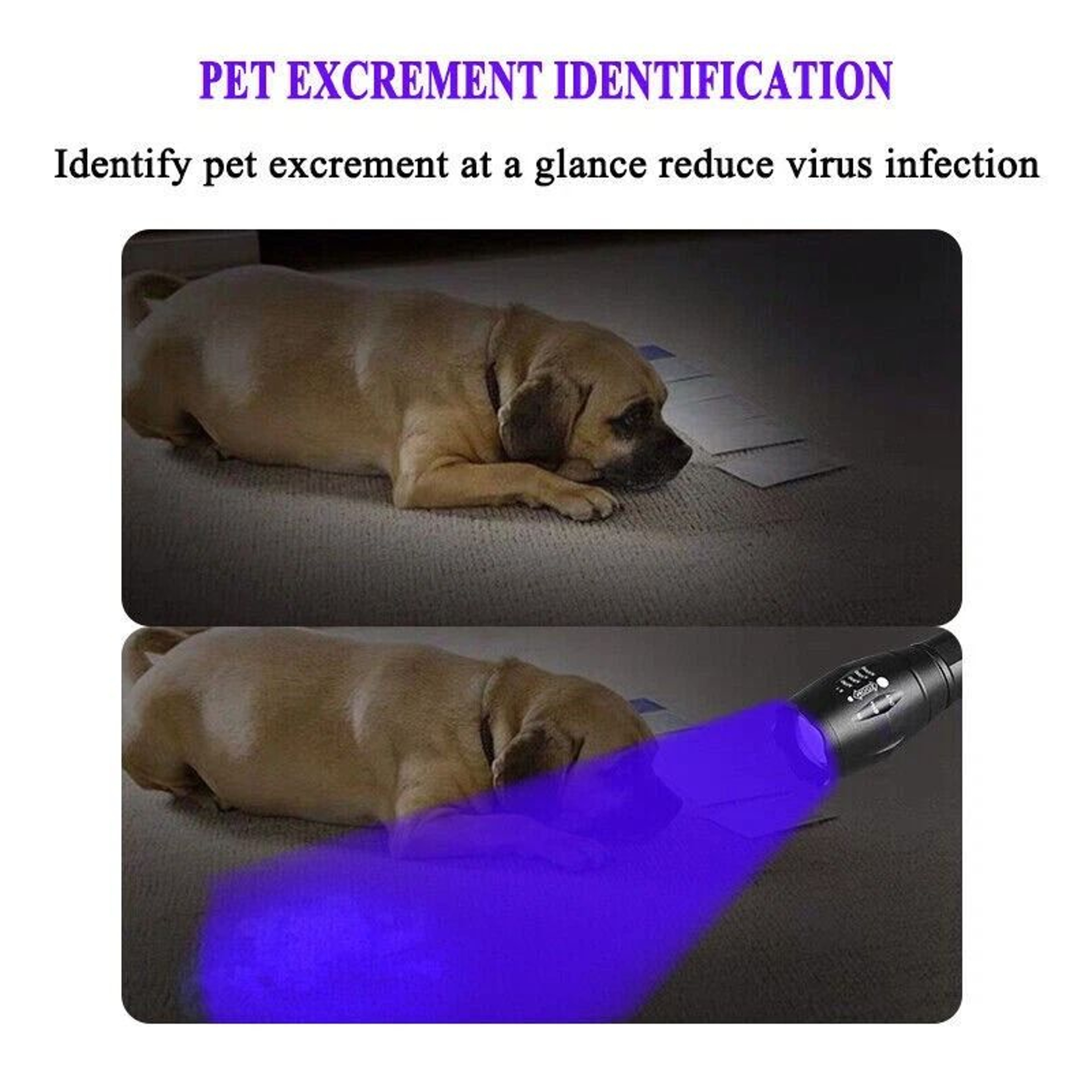 Super Bright UV Flashlight Ultra Violet Blacklight Torch With LED Lamp 8