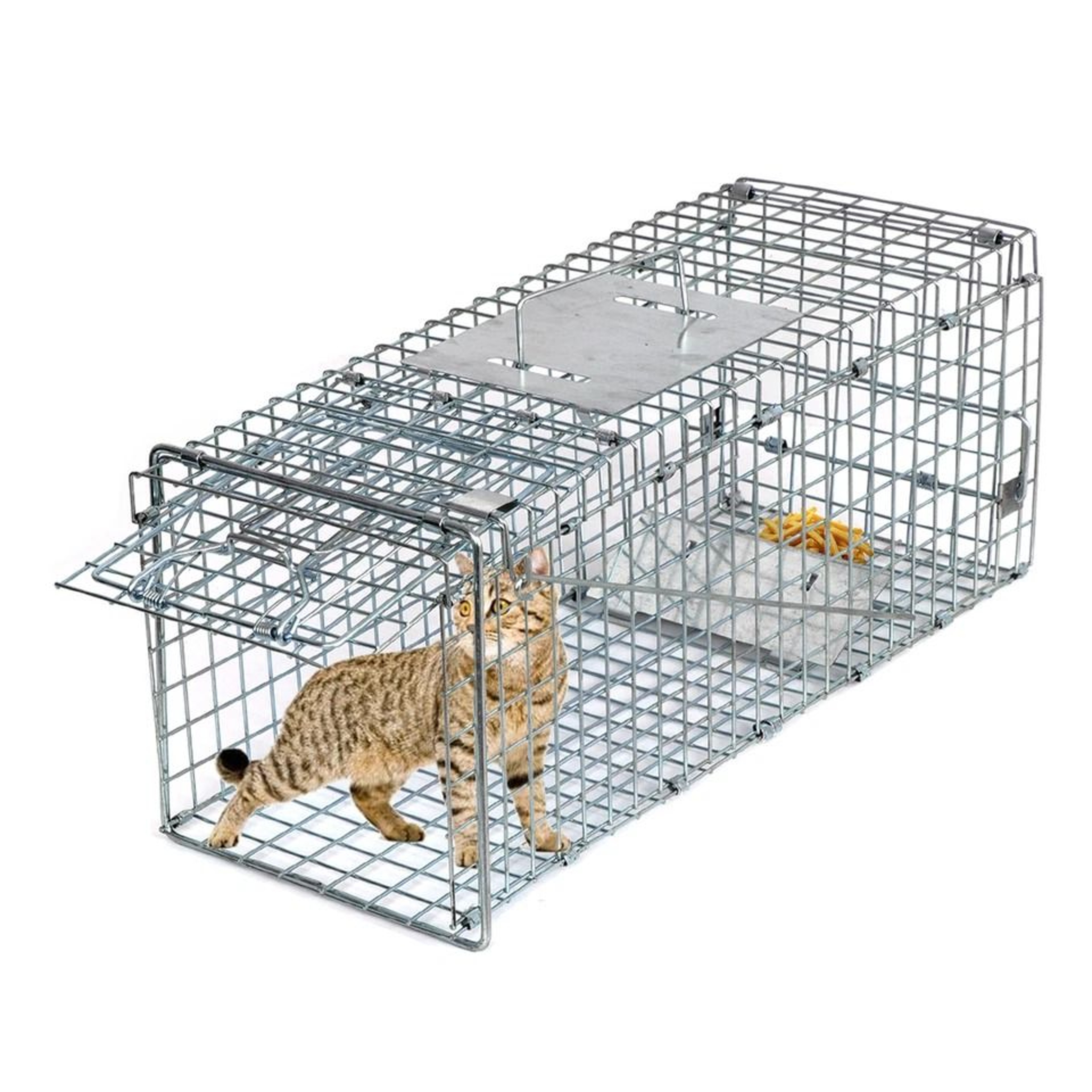 Humane Live Animal Trap Cage For Rabbit Raccoon  Squirrel Control Durable Easy Release Design 2