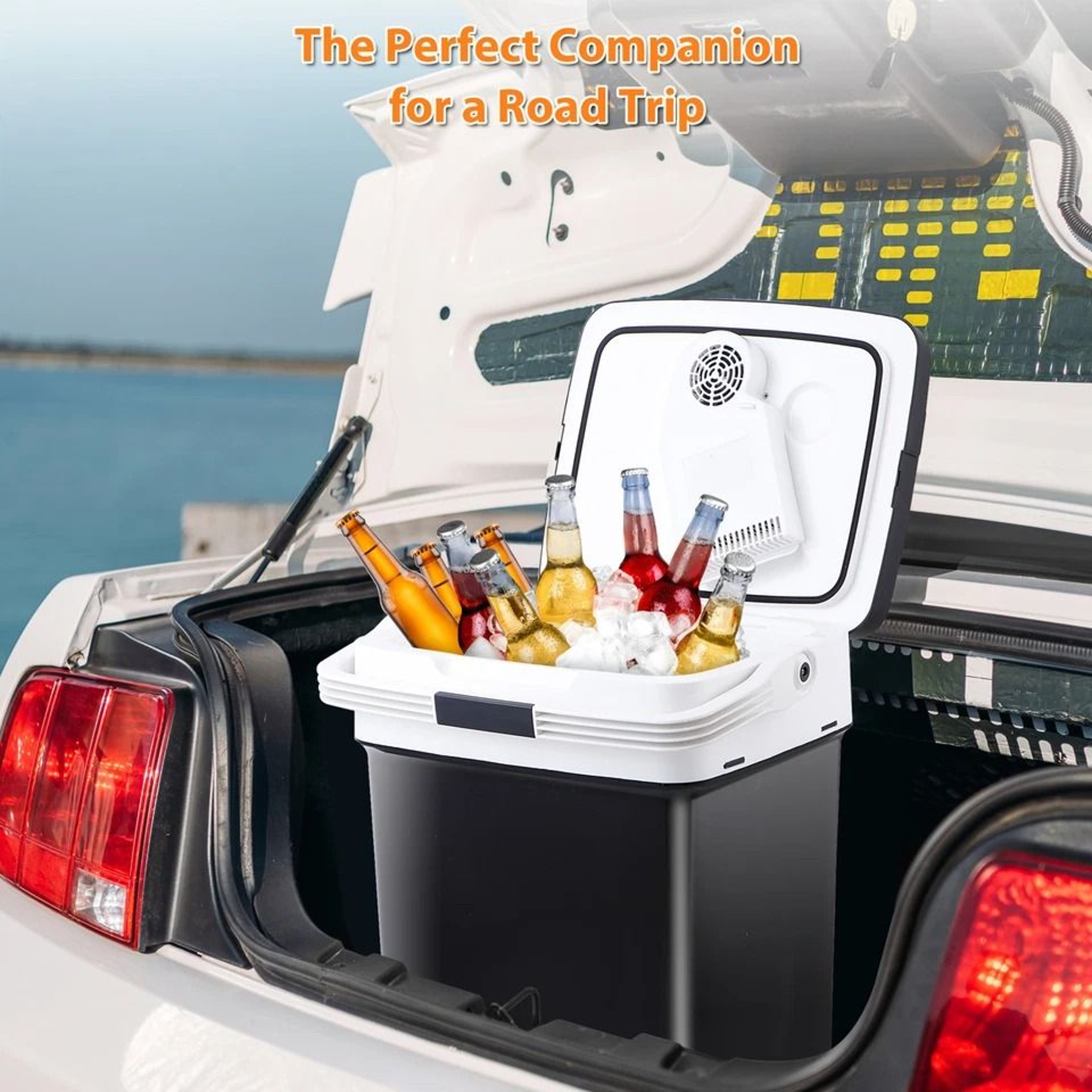 Portable Electric Car Fridge Mini Cooler Warmer For Travel Camping 8