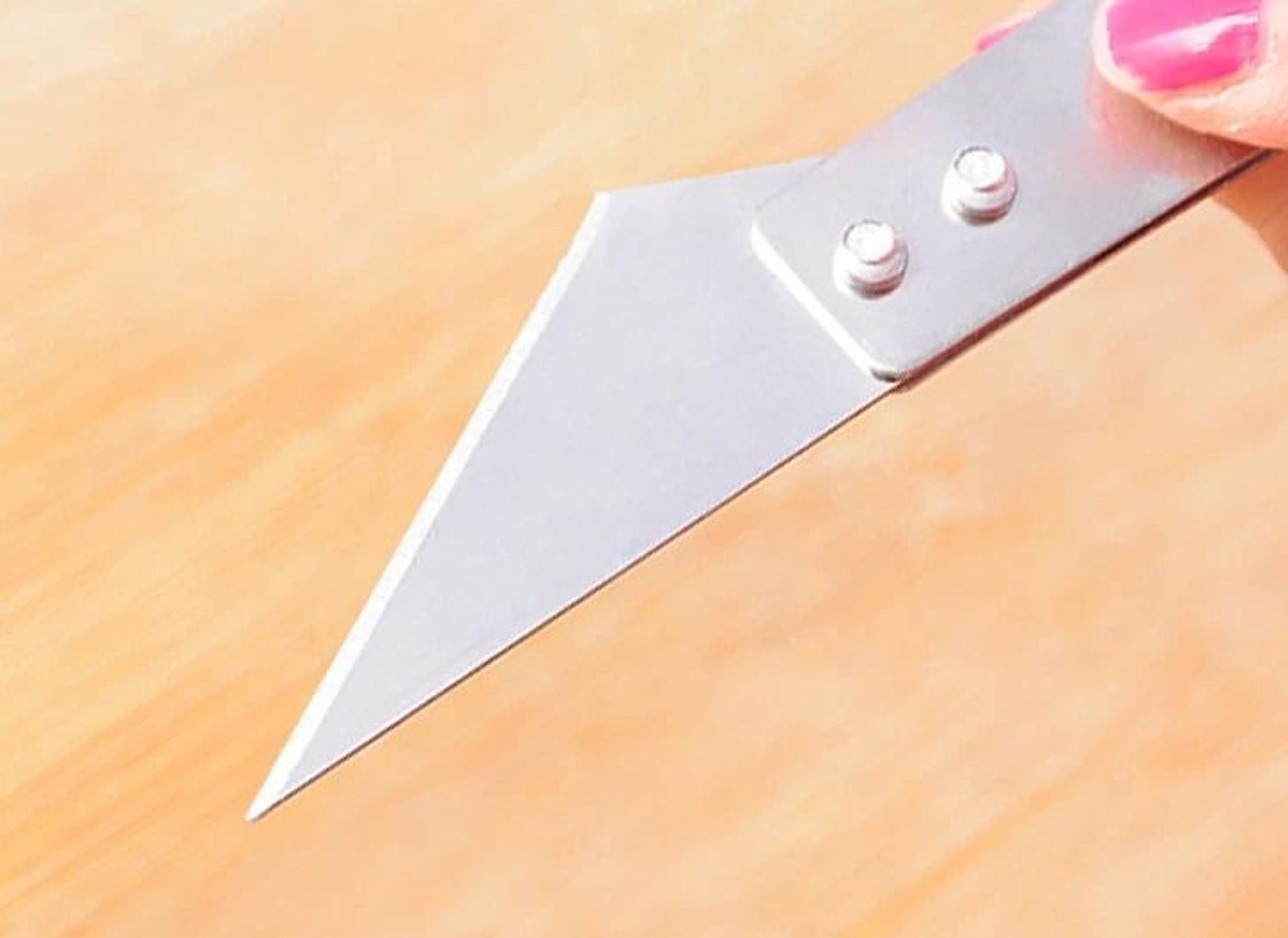 Fish Bone Tweezers And Knife Set Stainless Steel Pin Bone Remover Tool 3