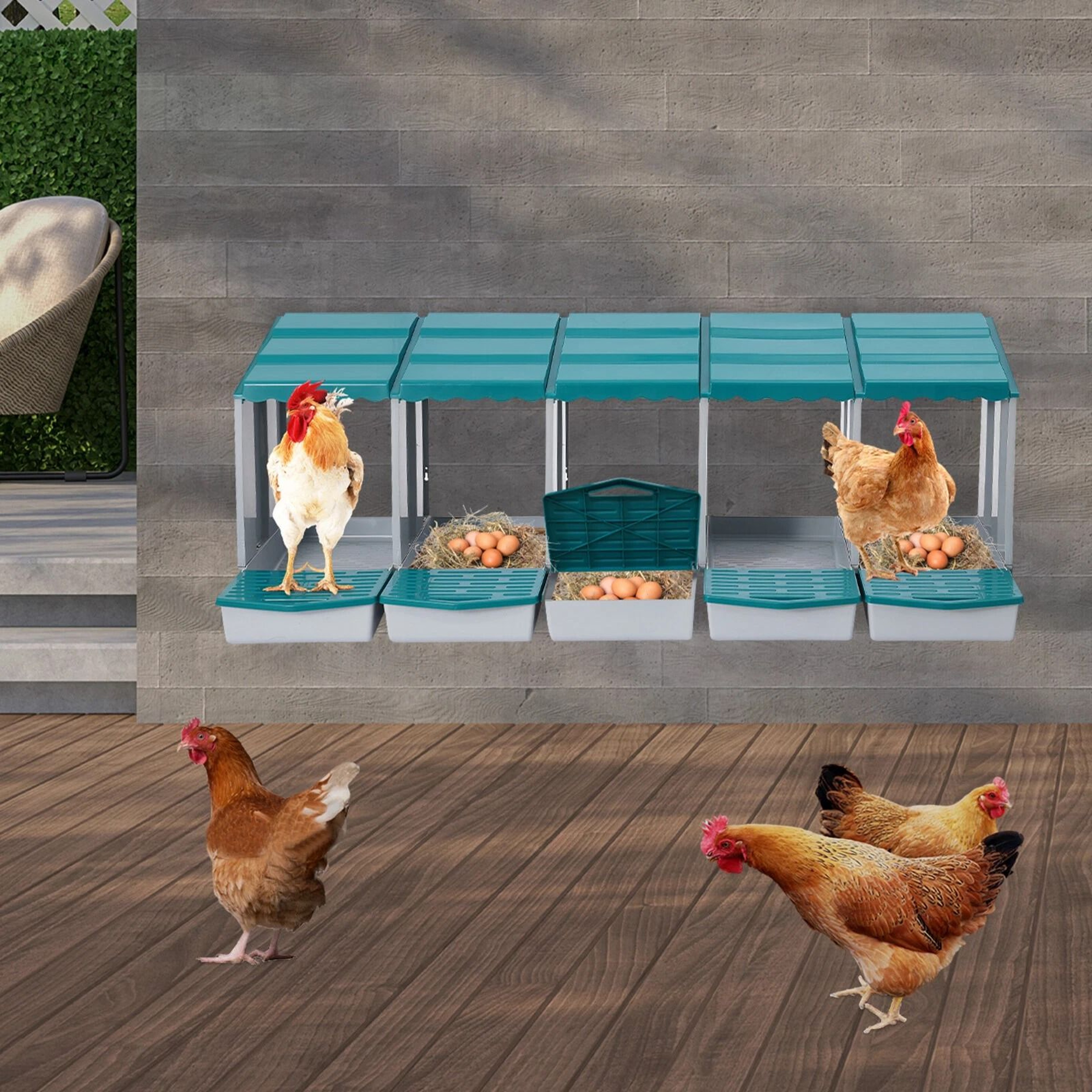 Compartment Chicken Nesting Box With Roll Away Egg Collection 3