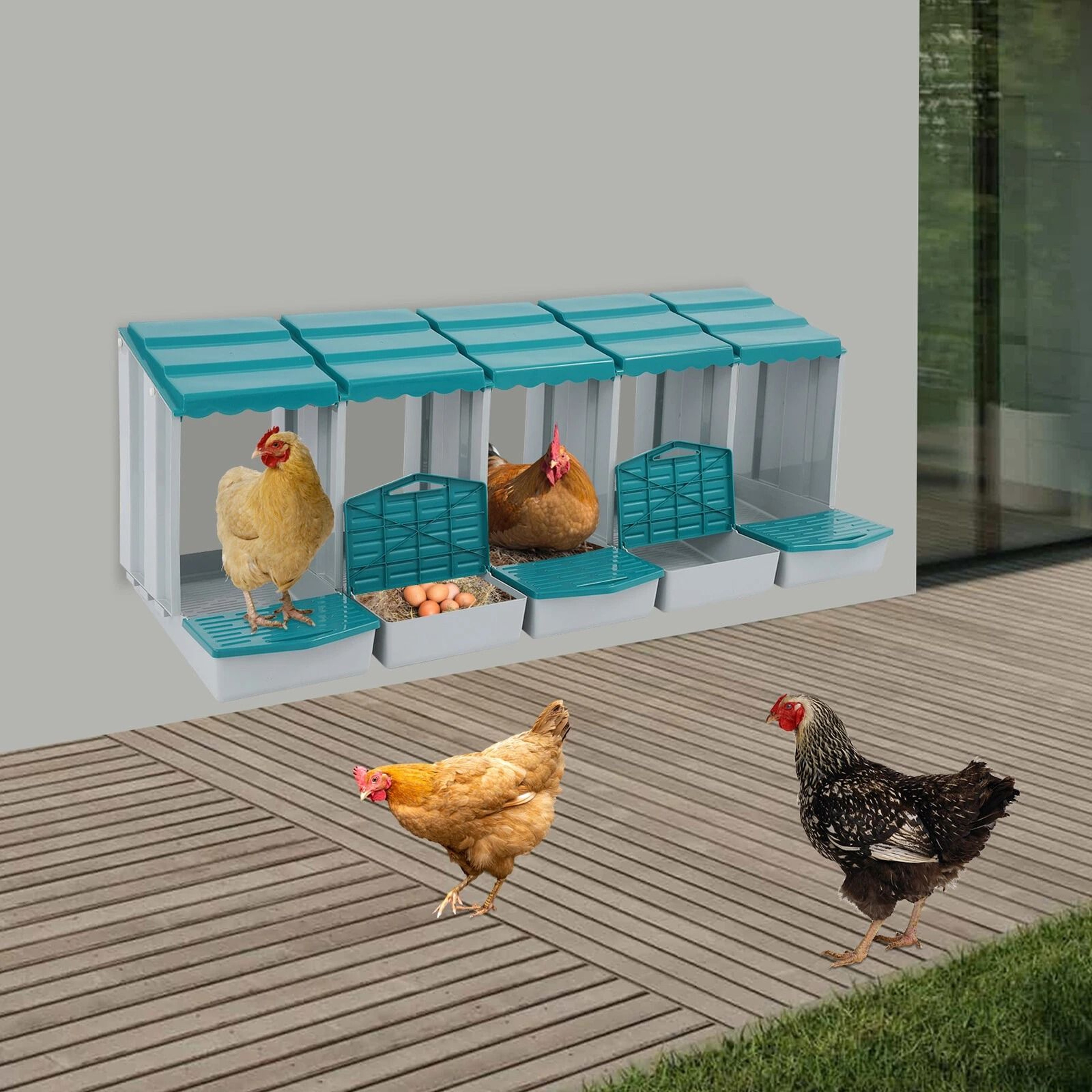 Compartment Chicken Nesting Box With Roll Away Egg Collection 0