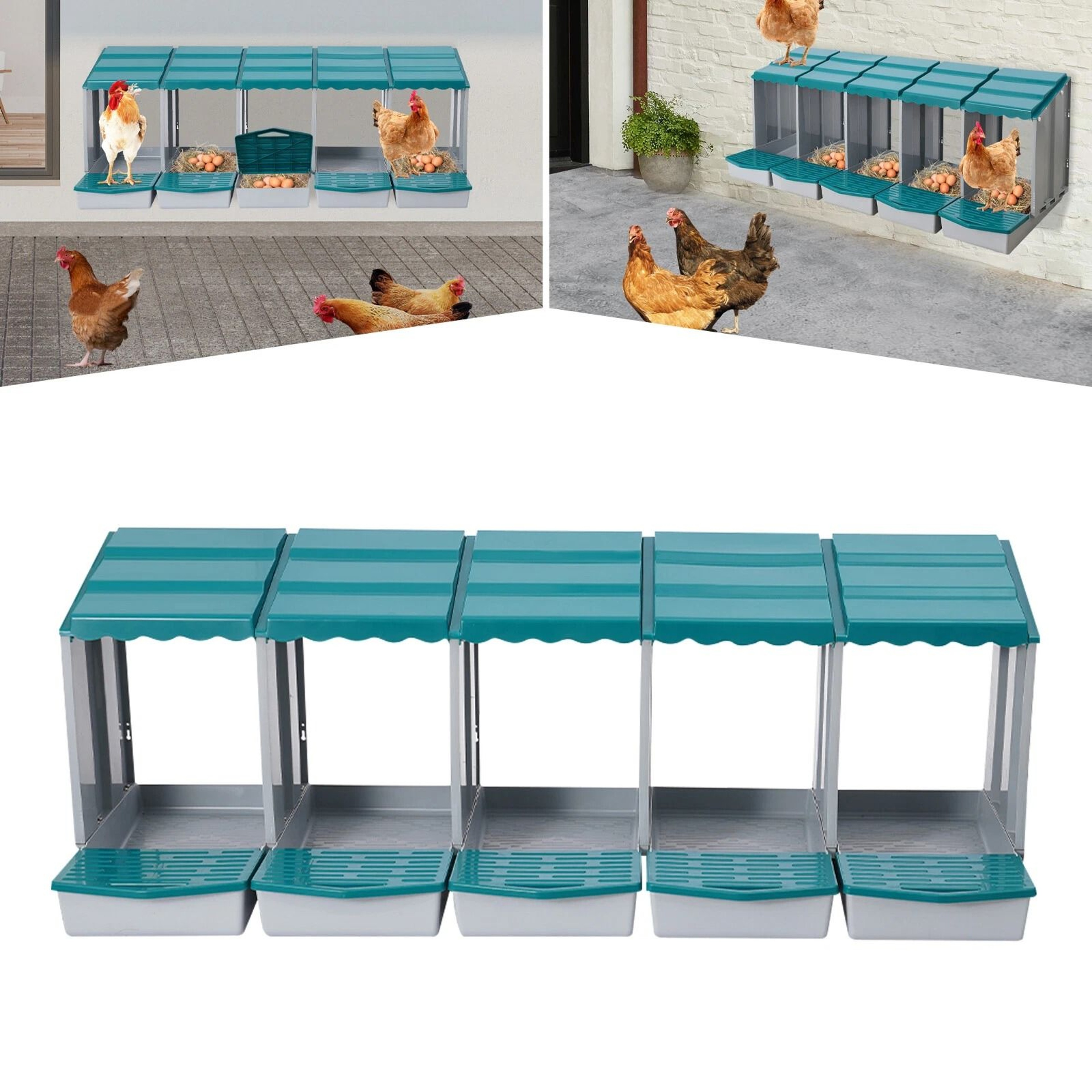 Compartment Chicken Nesting Box With Roll Away Egg Collection 6