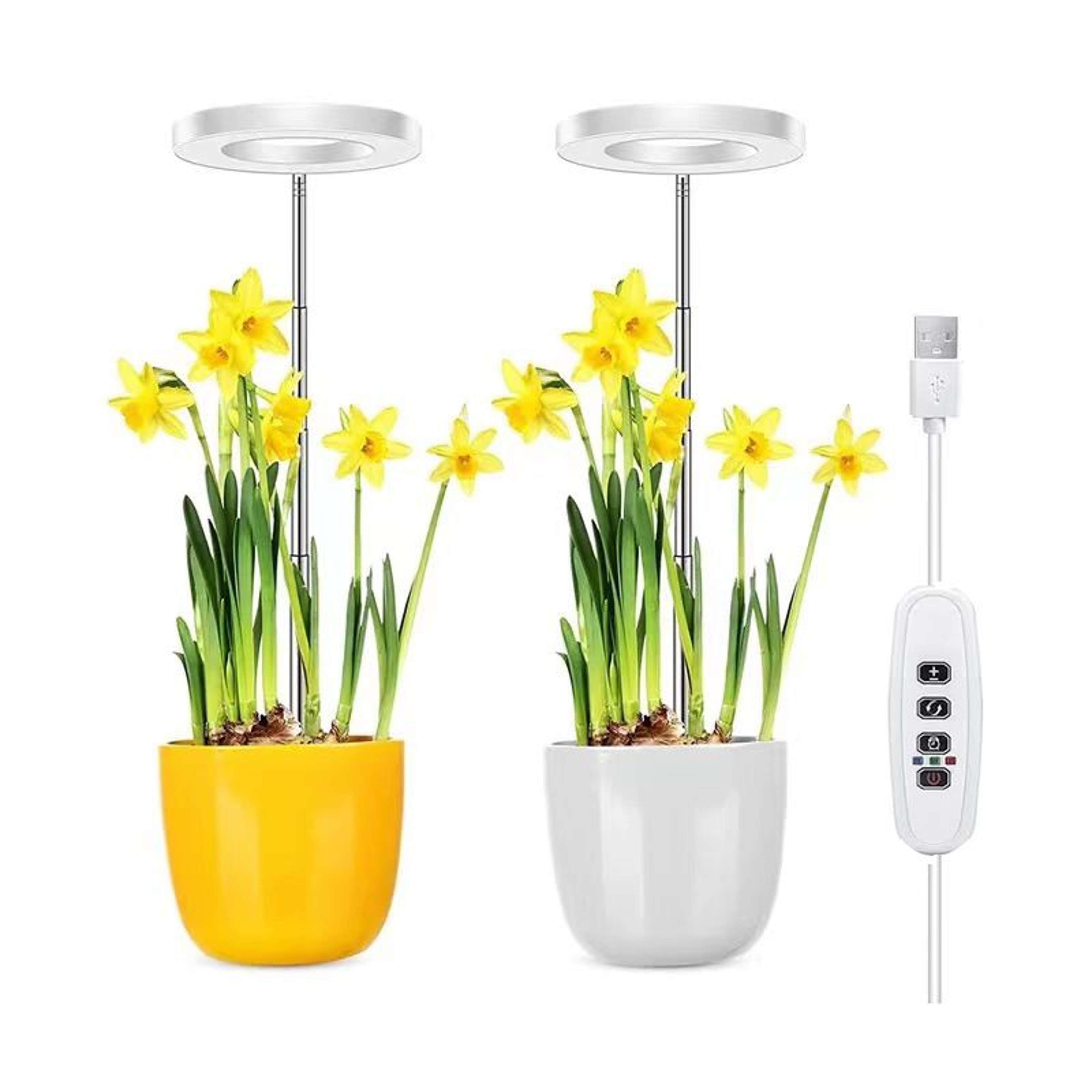 Indoor Plant LED Grow Light Full Spectrum Floor Lamp with Timer Dimming and Adjustable Height for