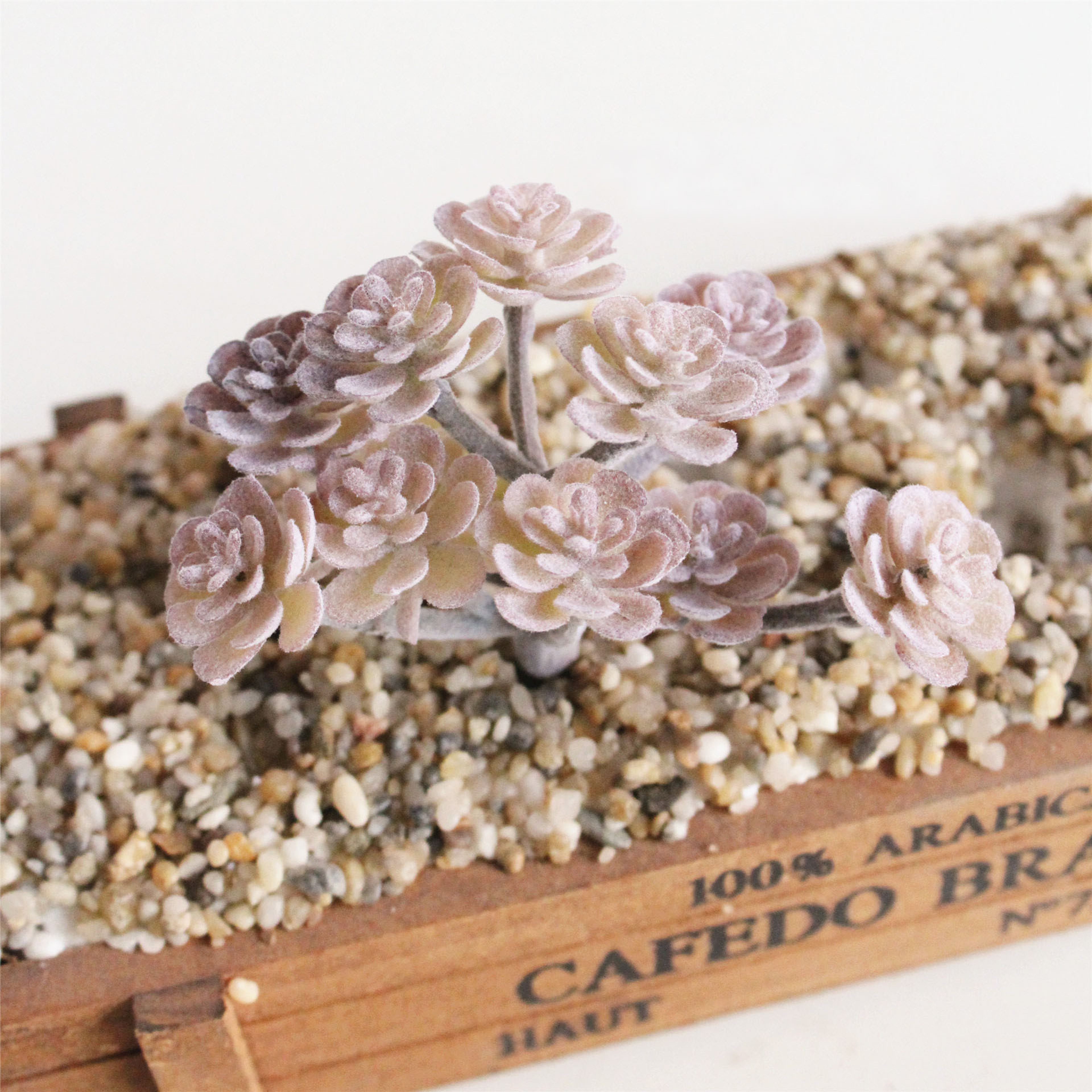 Purple Succulent Plants For Home Bedroom Living Room Bathroom  Holiday Party Bonsai Decor 1