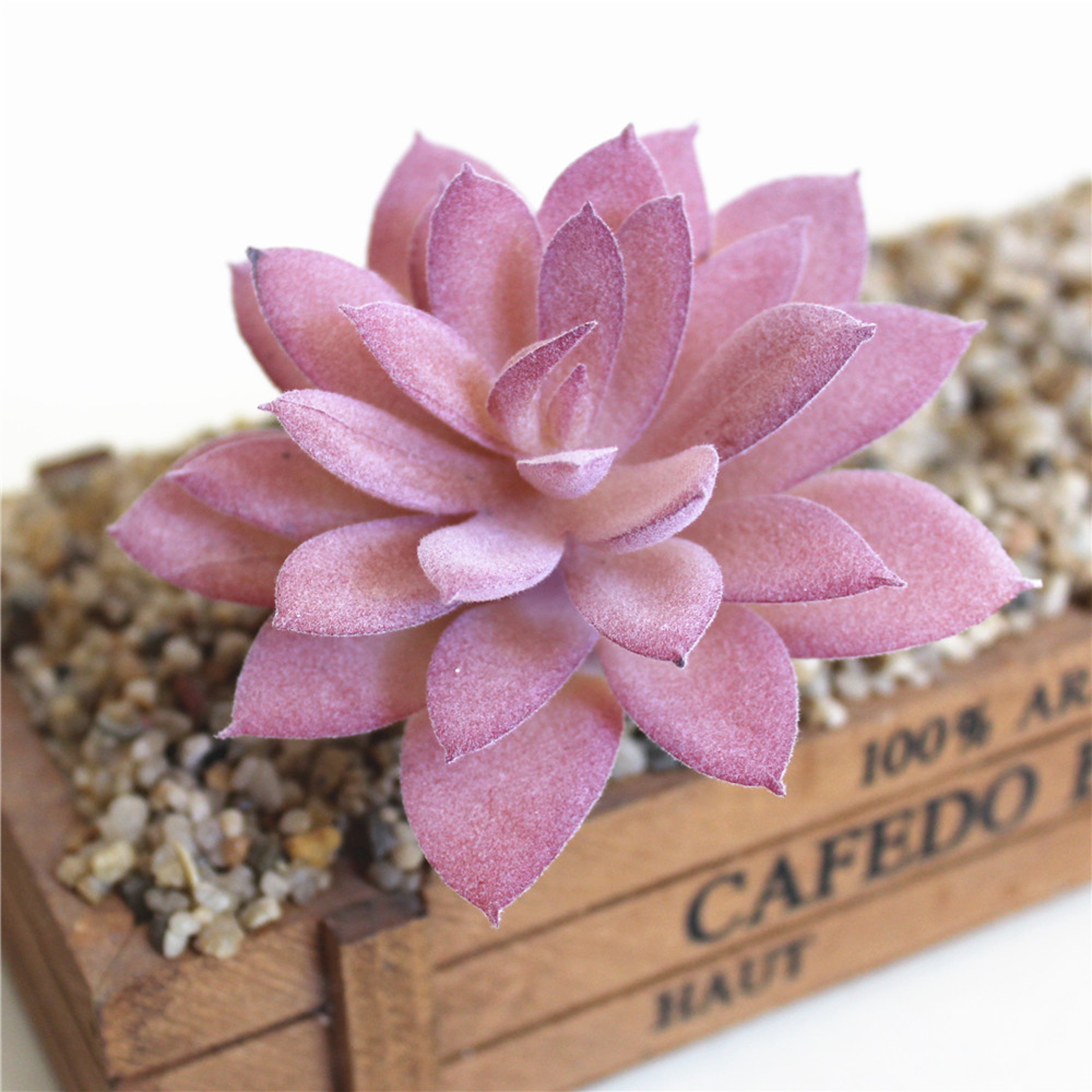 Purple Succulent Plants For Home Bedroom Living Room Bathroom  Holiday Party Bonsai Decor 4