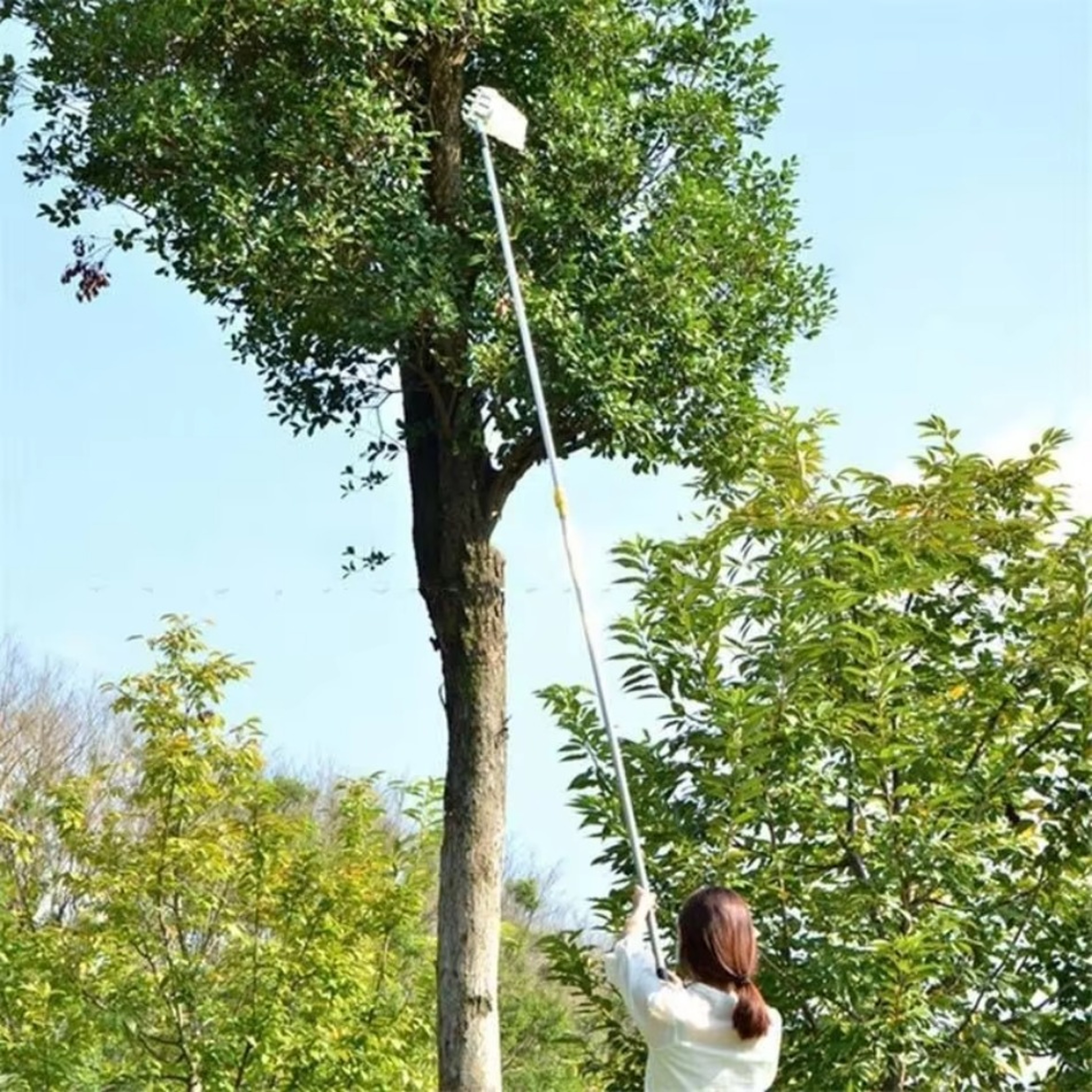 High-altitude Fruit Picker, Galvanized Iron Garden Tool, Durable Farm Tool for Efficient Harvesting – view 3
