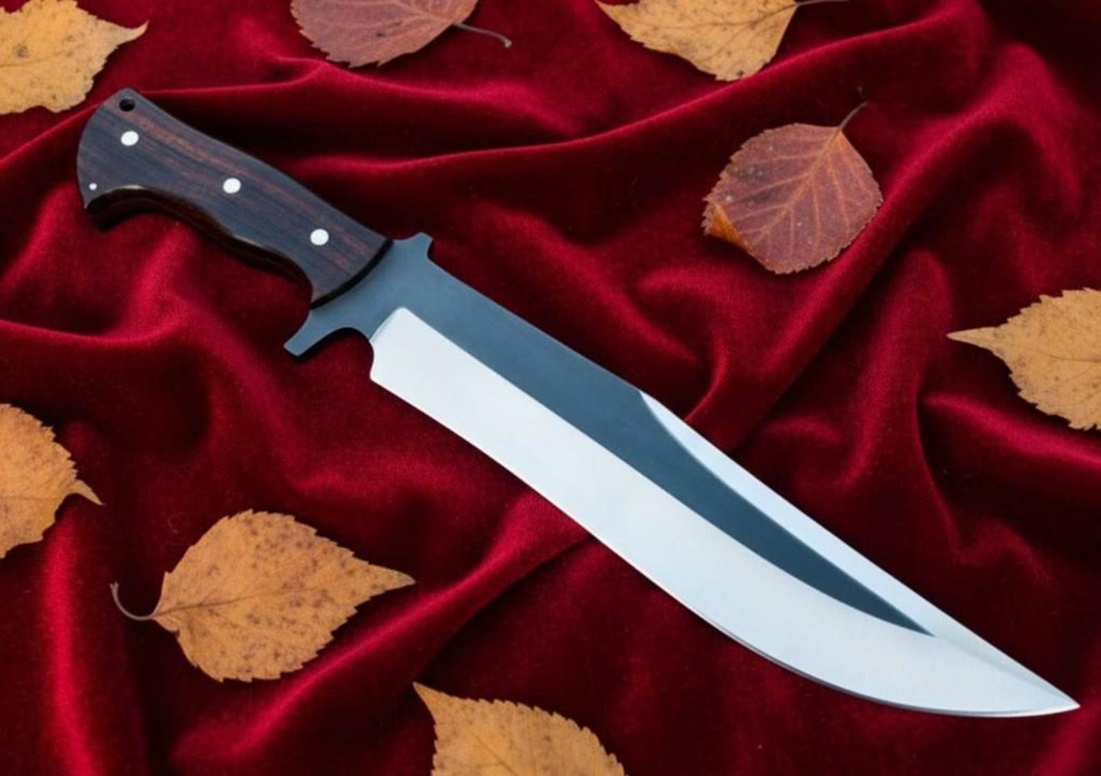 buy survival Bowie knife carbon steel