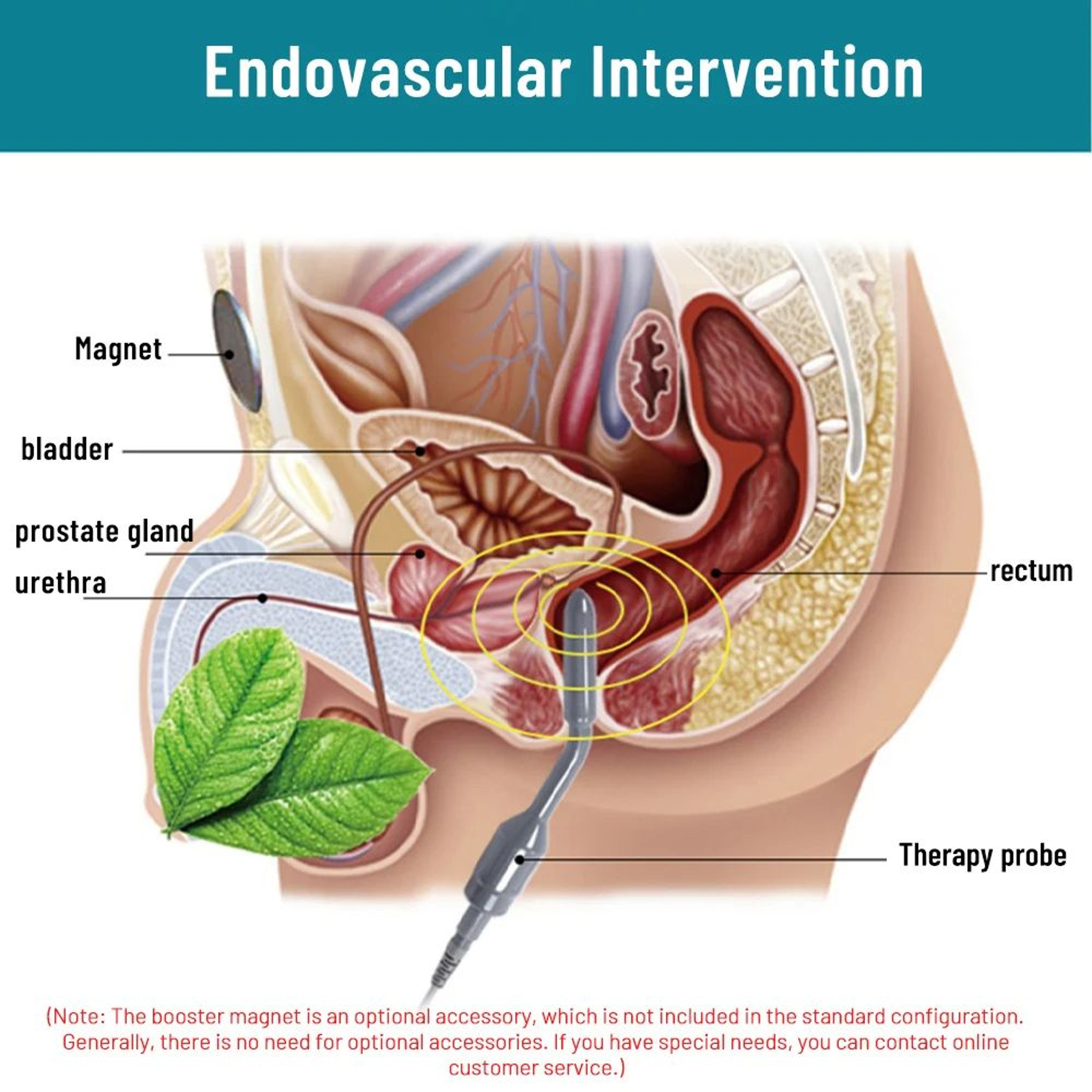 Prostate Massager Magnet Heating Therapy Device For Prostate Stimulation Inflammation Relief Anal R