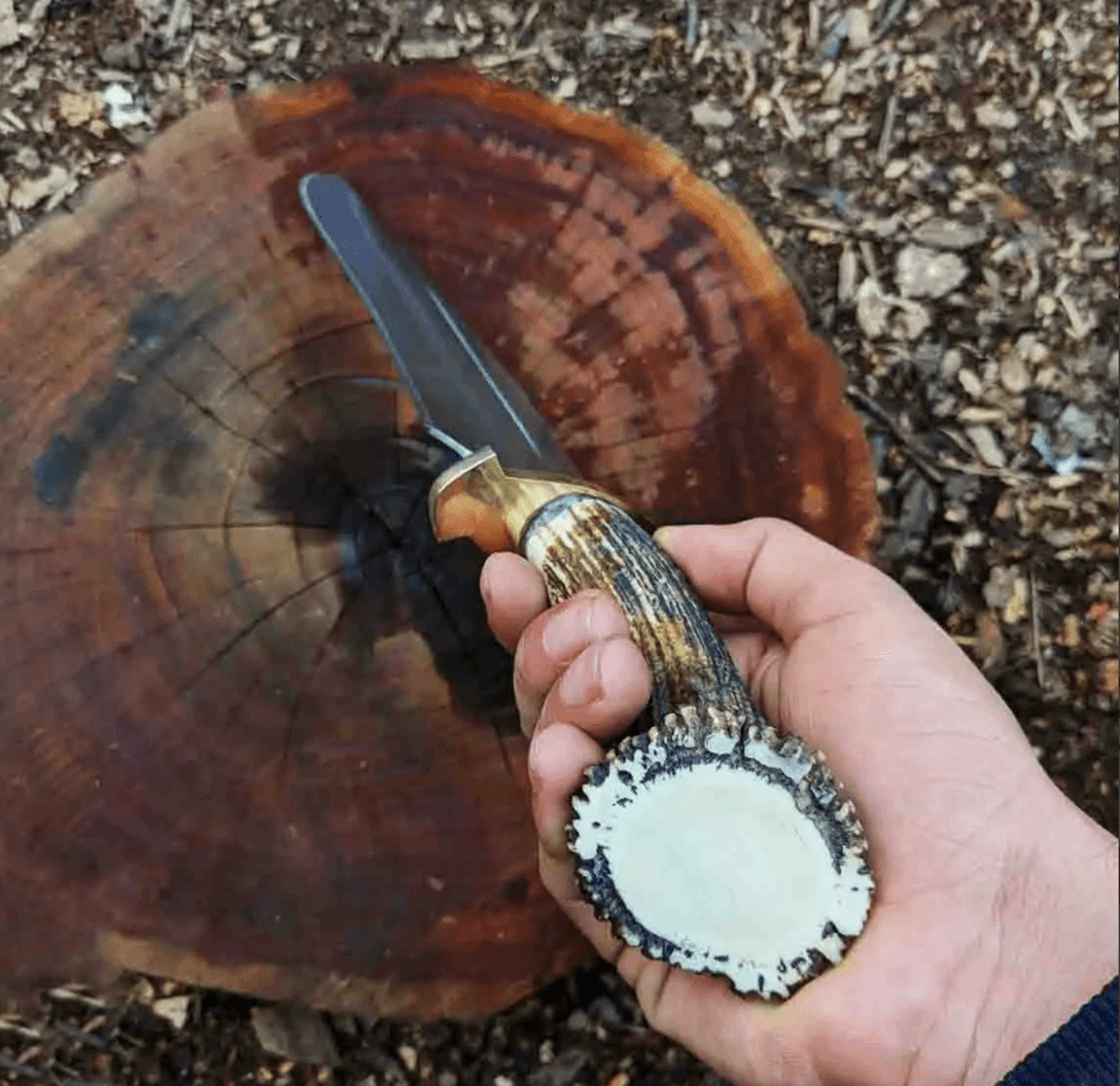 Stag Antler Bowie Knife Replica  Seraphim Falls Inspired  HandForged D2 Steel Blade With Leather Sh 2