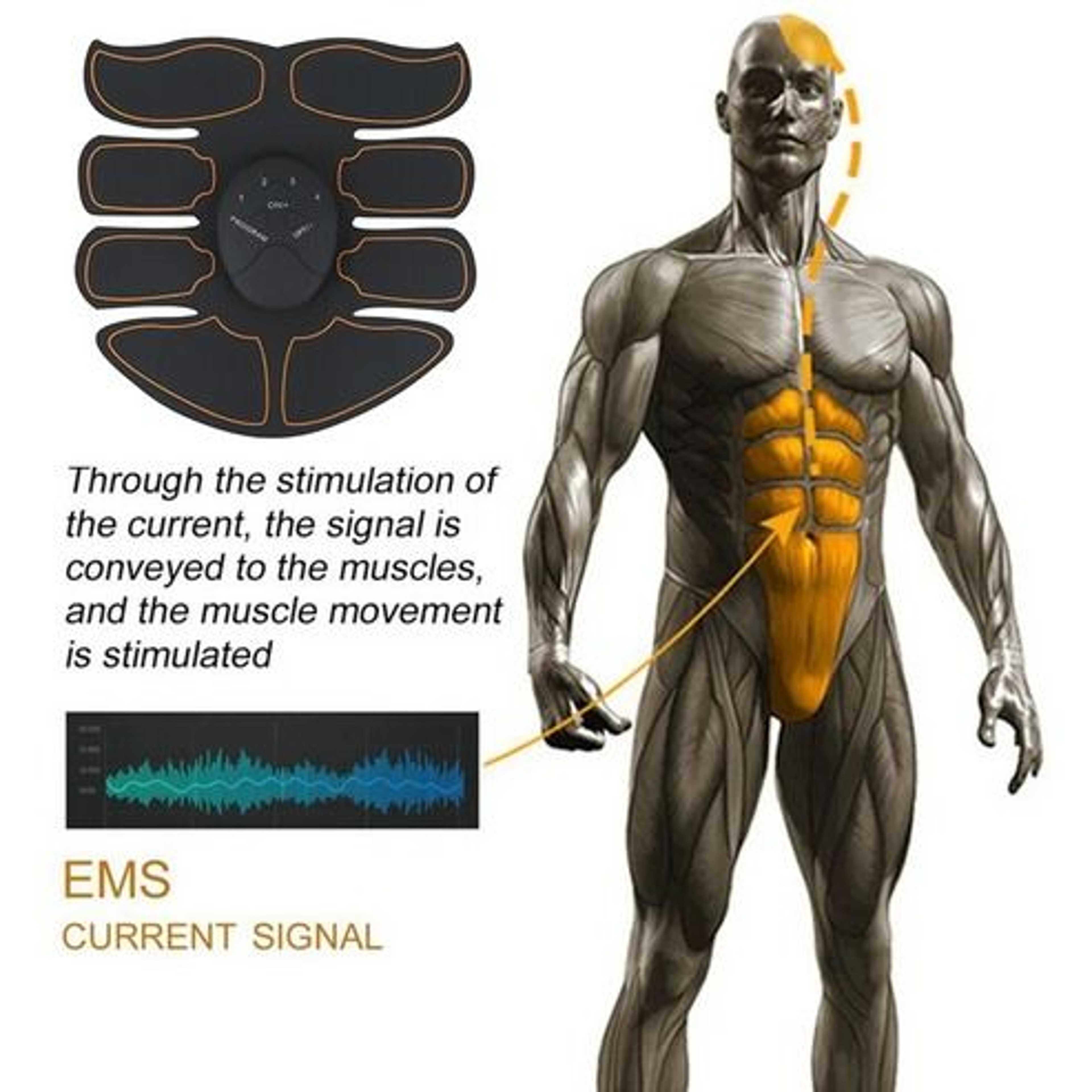 Ultimate ABS Stimulator EMS Muscle Trainer Fitness Gym Belt Toning Binder For Abdomen Arms 7