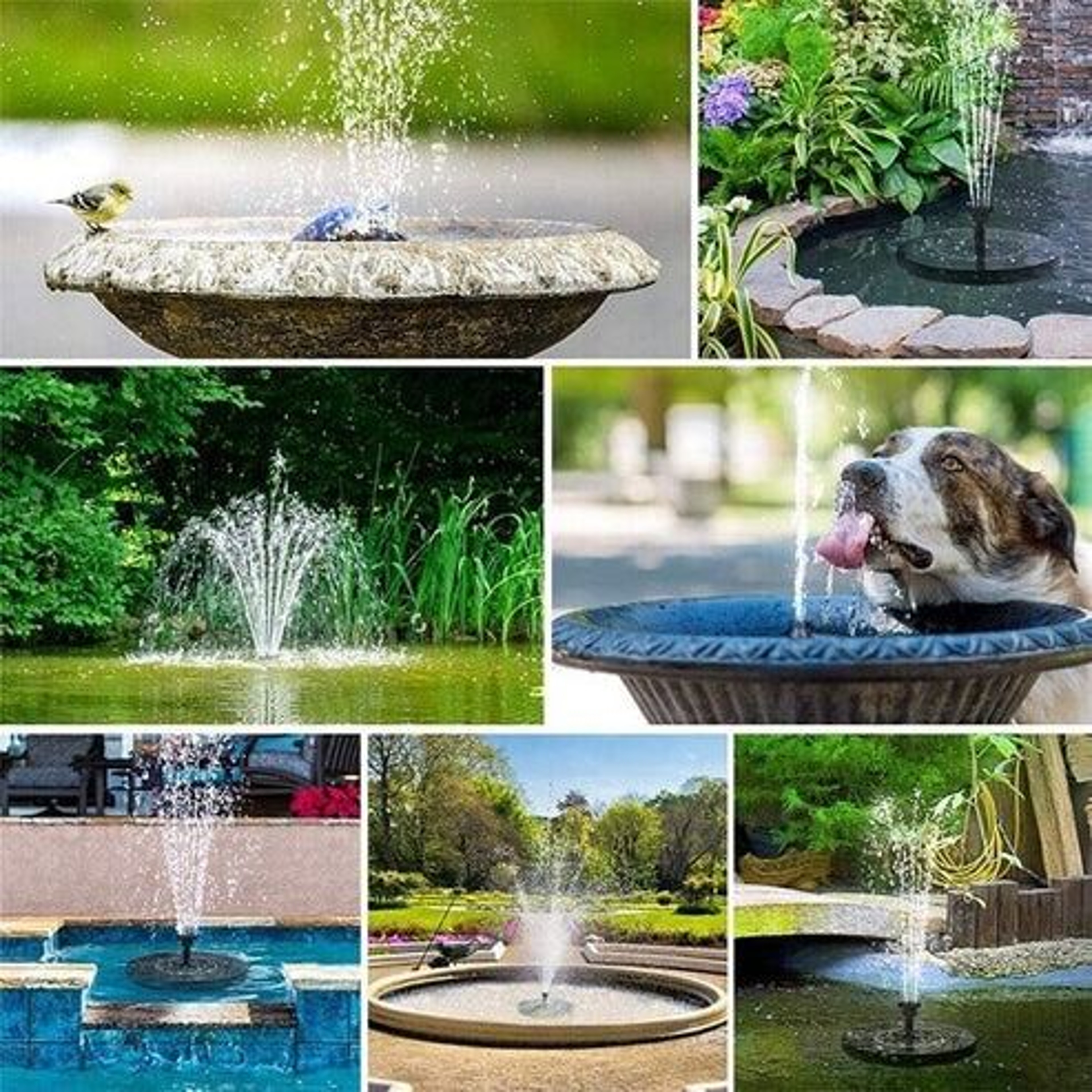 Solar Power Bird Bath Fountain Pump EcoFriendly Solar Fountain With Nozzles For Birds Ponds Gardens 5