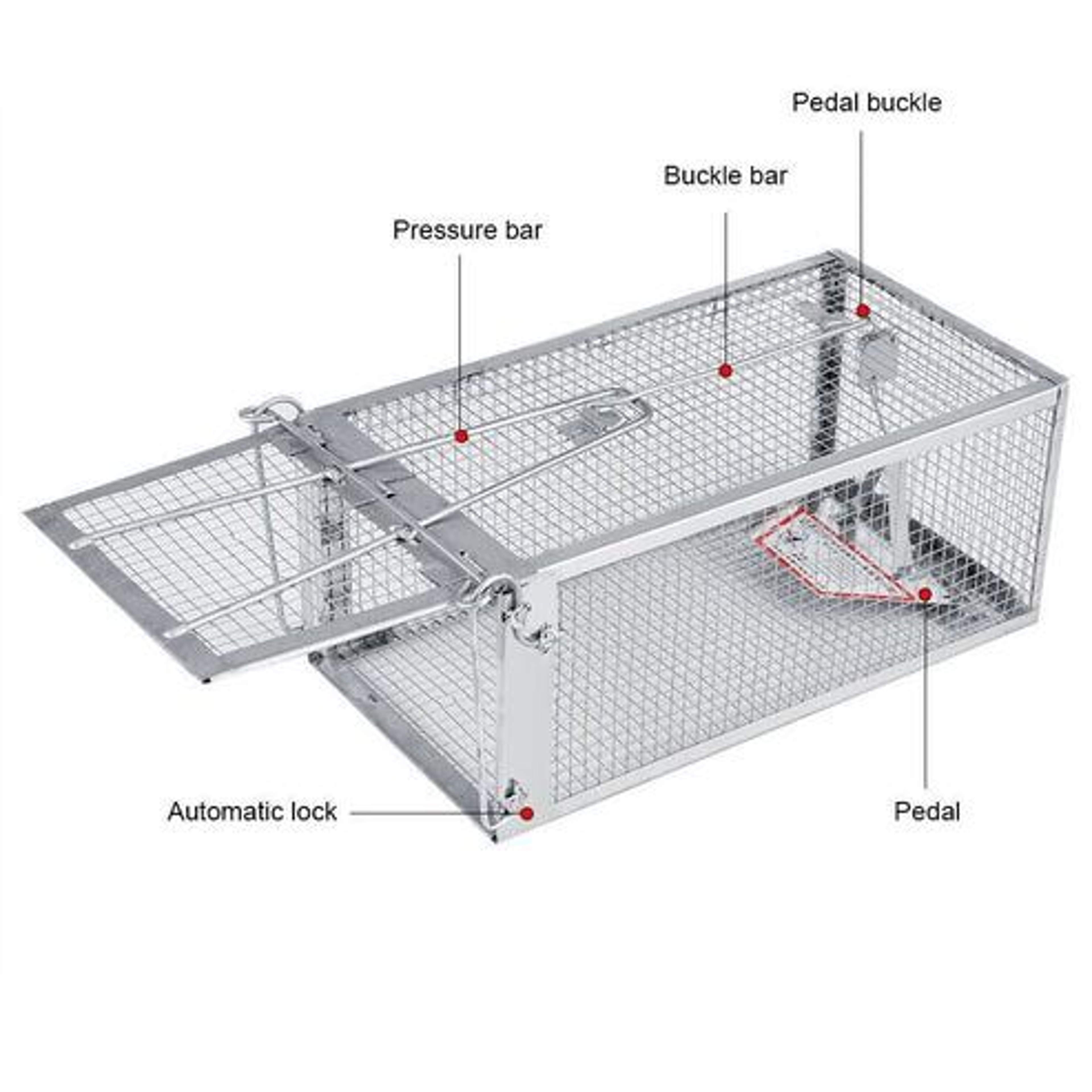 Live Catch Cage Mouse Trap Rat Trap Rodent Trap Easy To Set Up And Reuse Humane Galvanized Steel 4