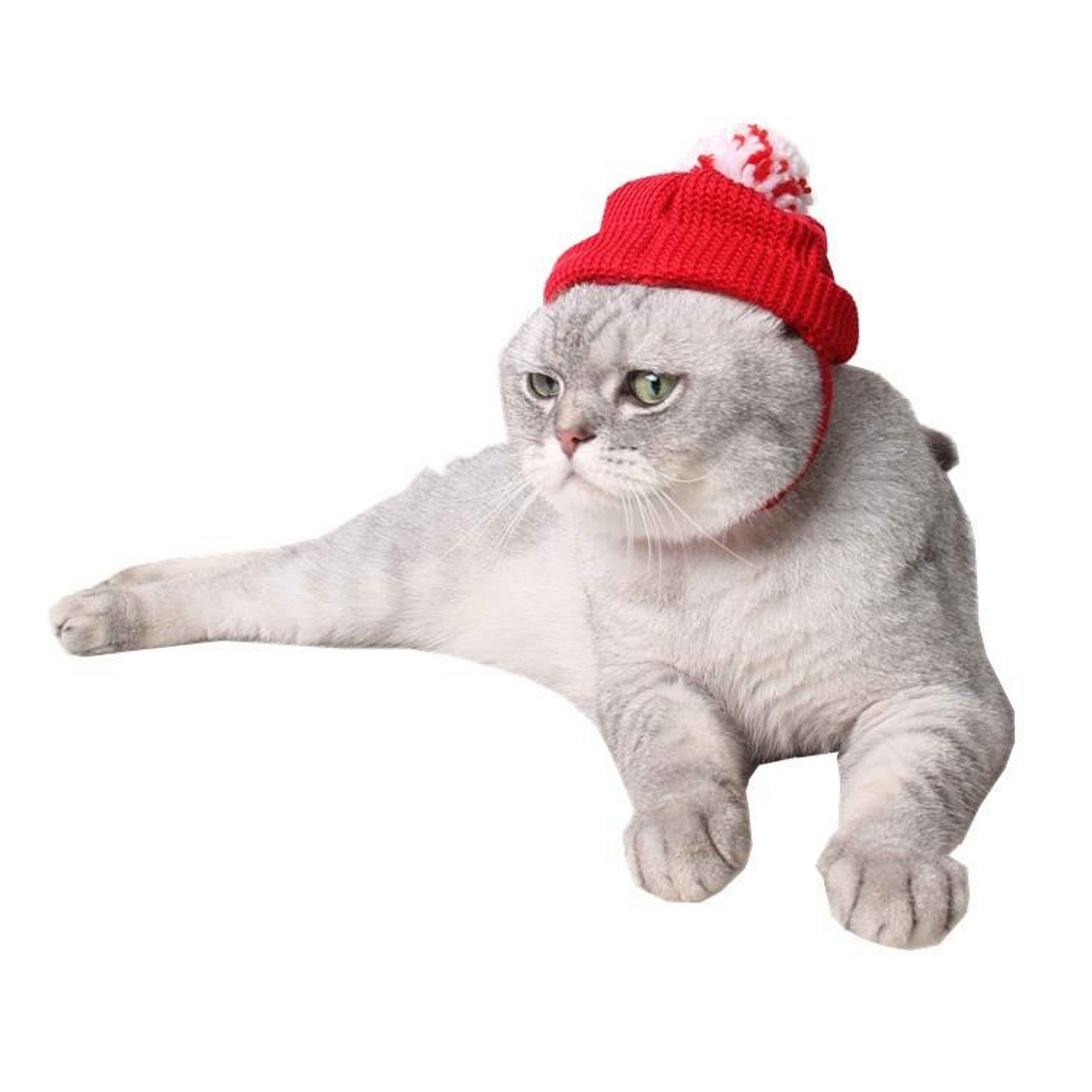 Western Christmas Hat for Dogs in Red and White Stripes – view 7