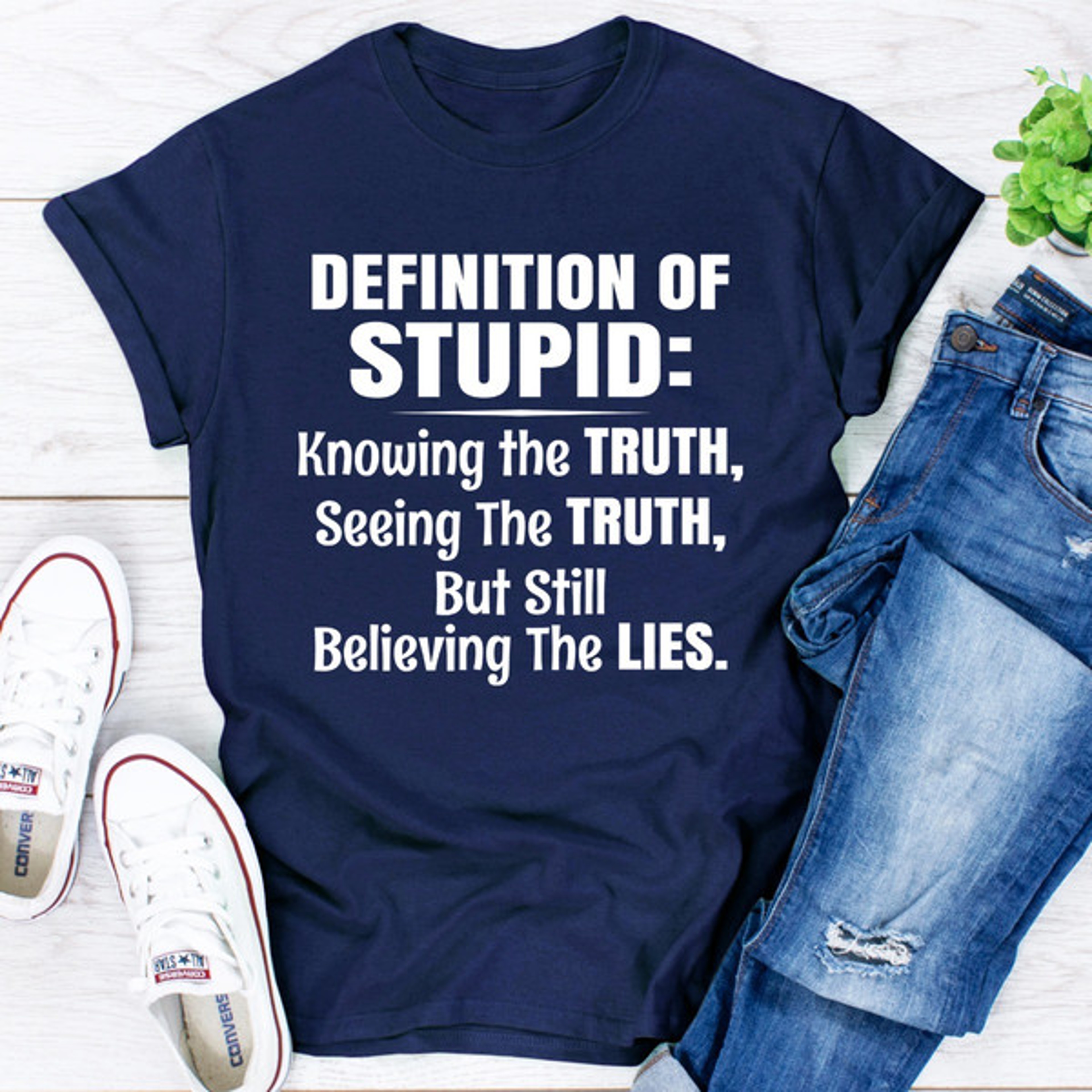 Definition Of Stupid – view 2