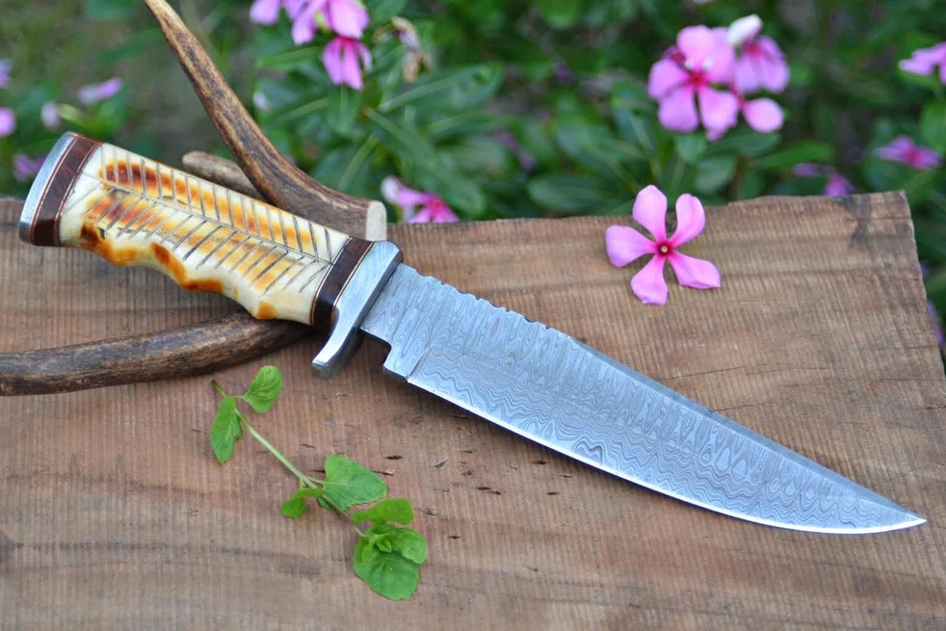 Handmade Damascus Steel 13" Inches Damascus Steel Hunting Knife - Camel Bone & Rose wood Handle With Damascus – view 2
