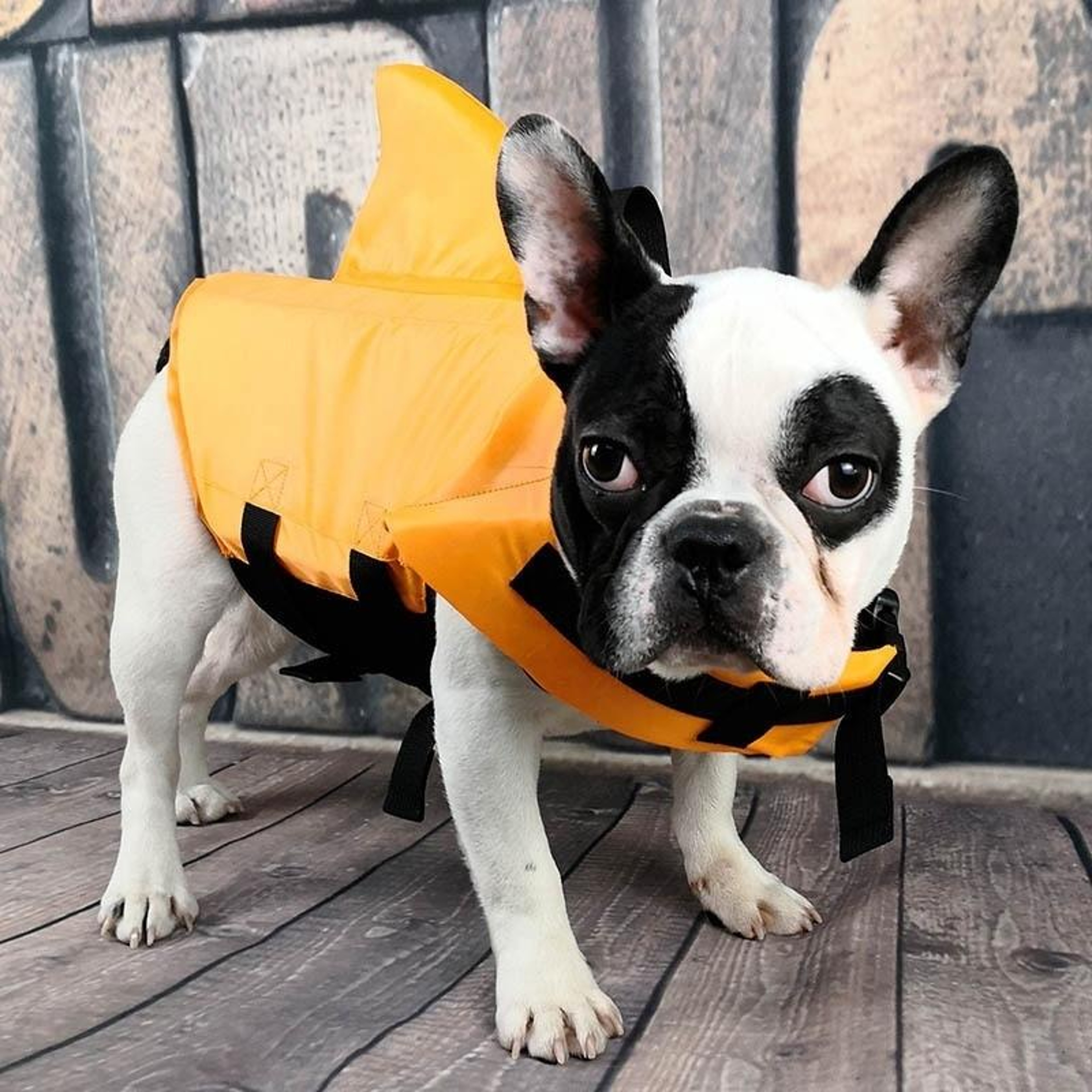 Premium Adjustable Dog Life Jacket  Swimwear Safety Flotation Vest For Water Play 12