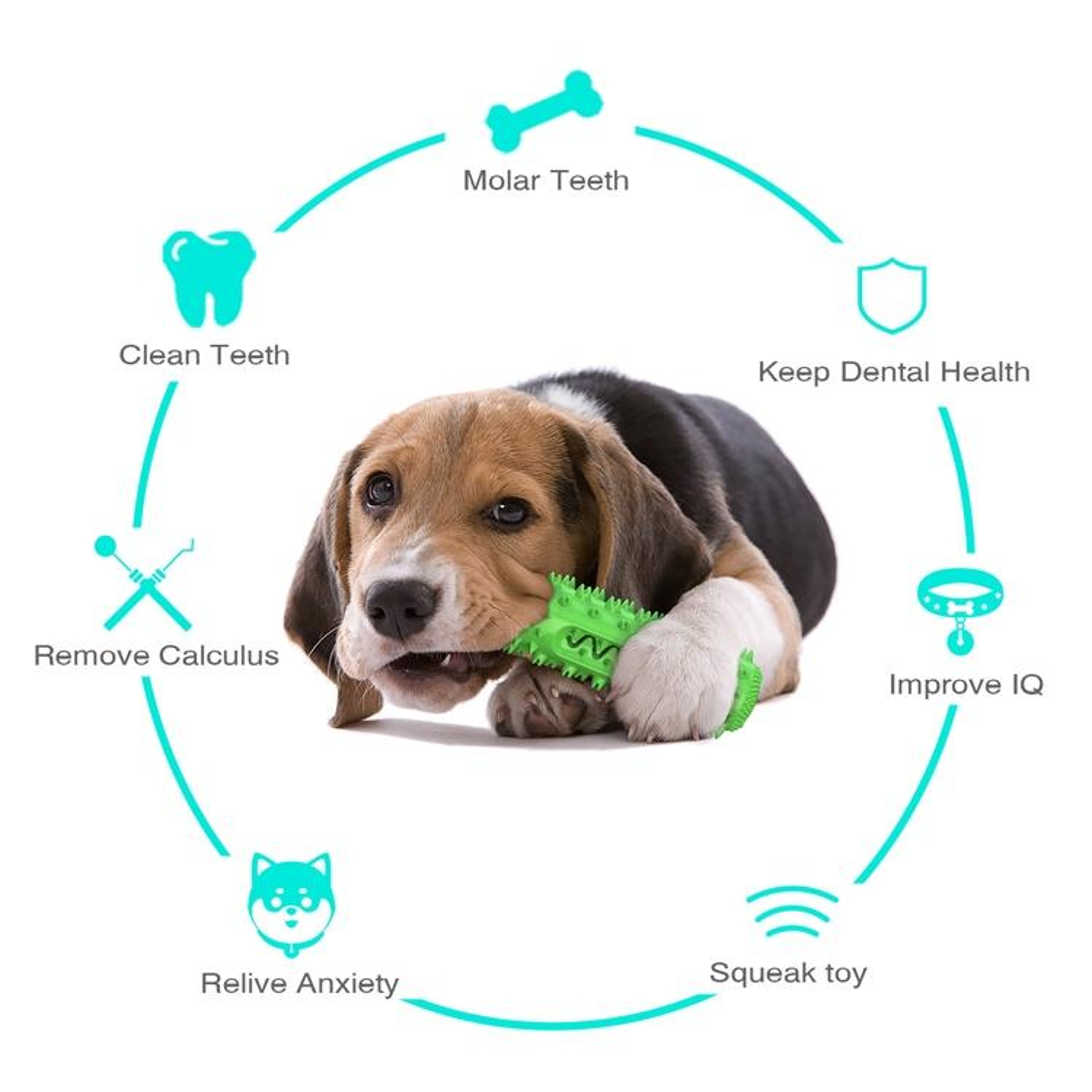 Interactive Squeaky Dog Toy Bar with Sound & Teeth Cleaning Texture – view 4