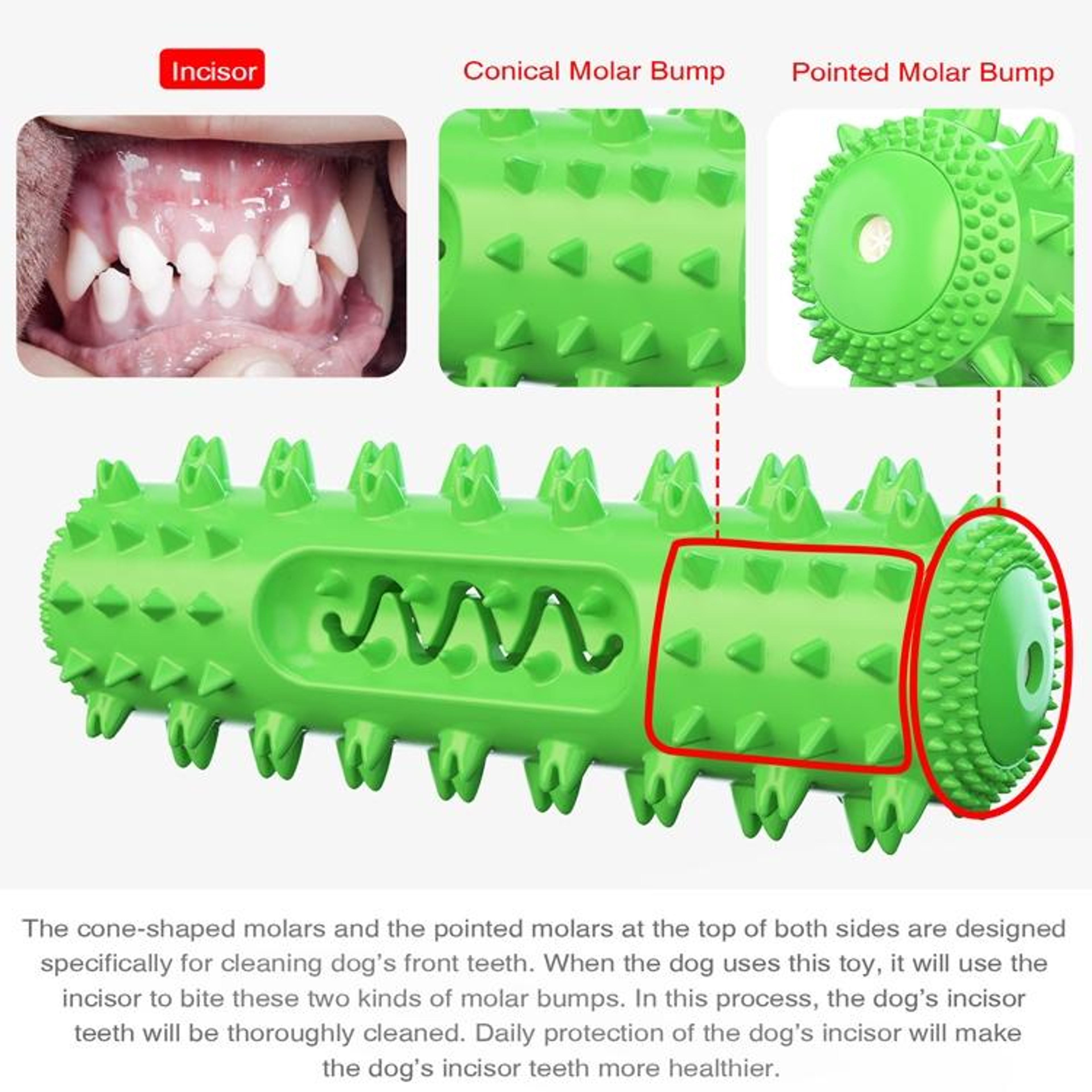 Interactive Squeaky Dog Toy Bar with Sound & Teeth Cleaning Texture – view 5