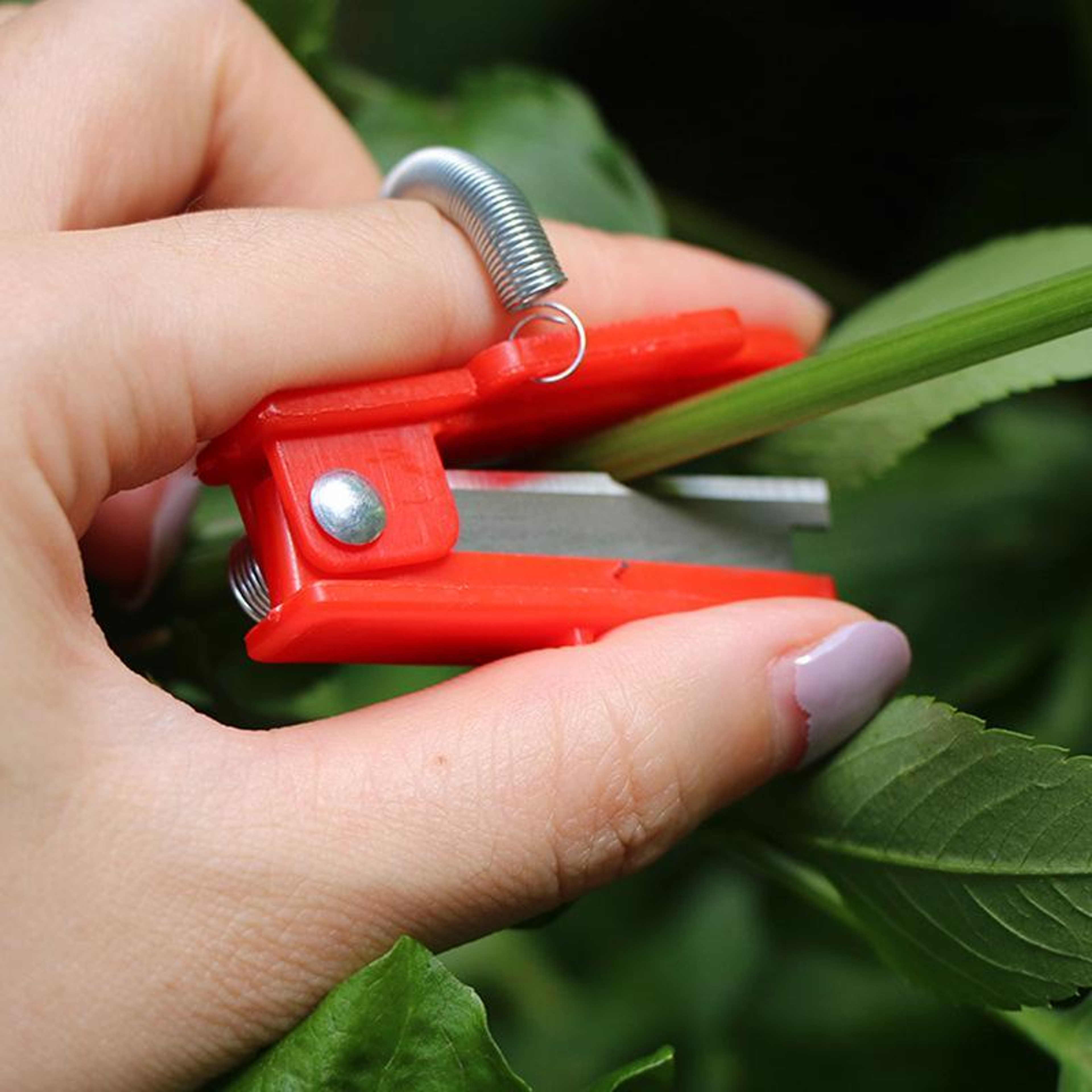 Fruit & Vegetable Picking Tool Set with Thumb Cutter Knives Garden & Harvest Helper – view 6