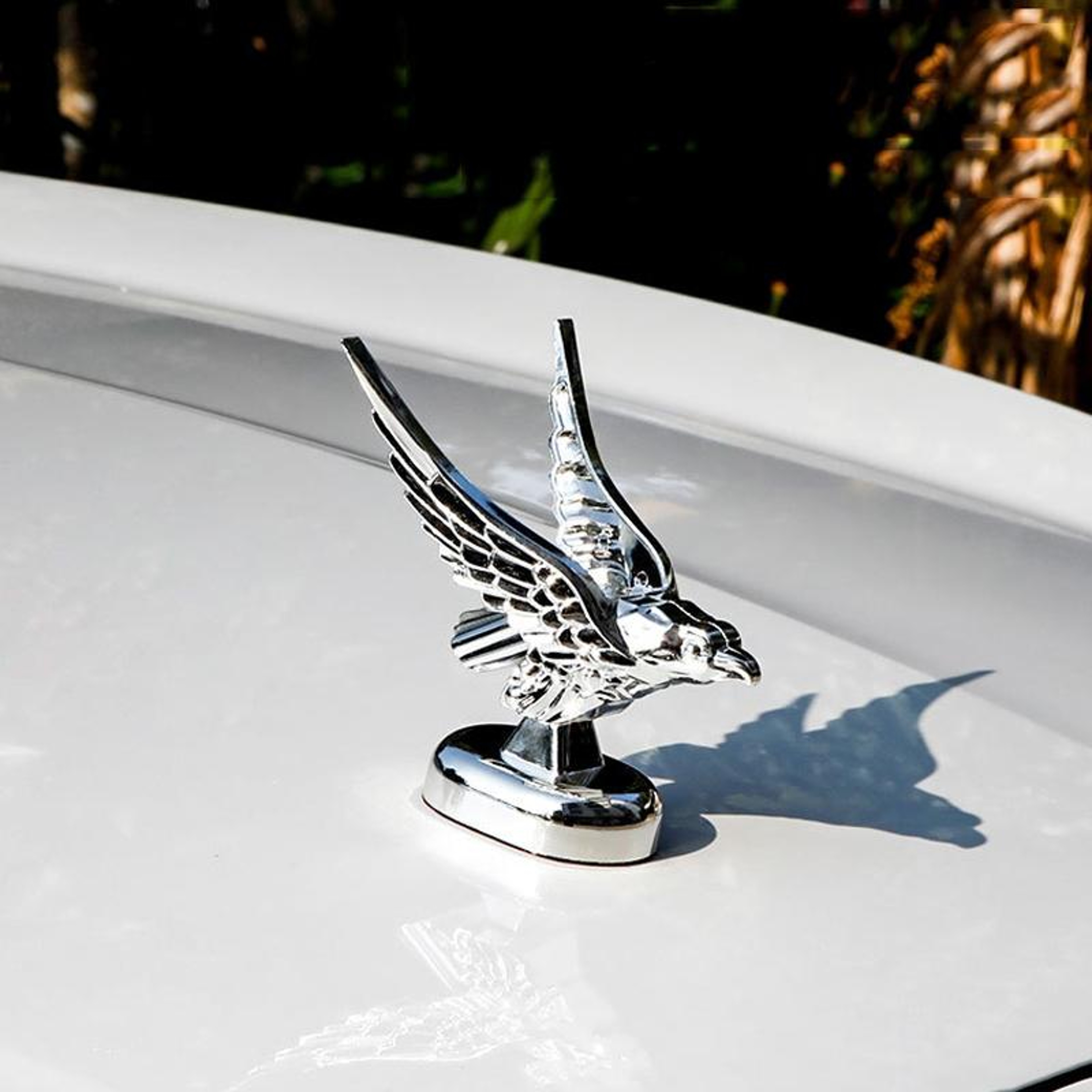 Universal Car Hood Ornament 3D Eagle Emblem Decorative Hood Badge For Cars 1