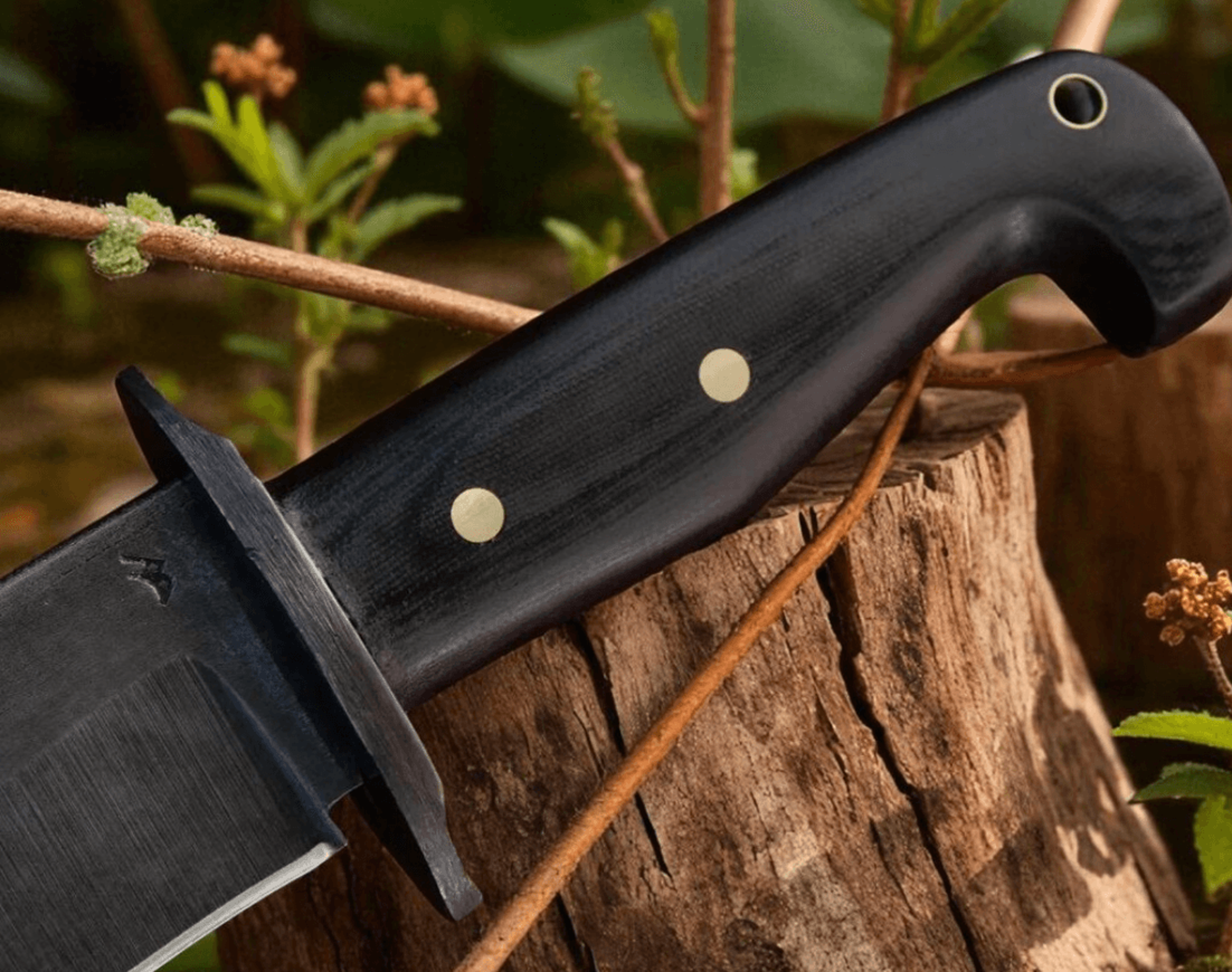 Buy Now Tercio Raider 10 Inch Full Tang Bowie Knife