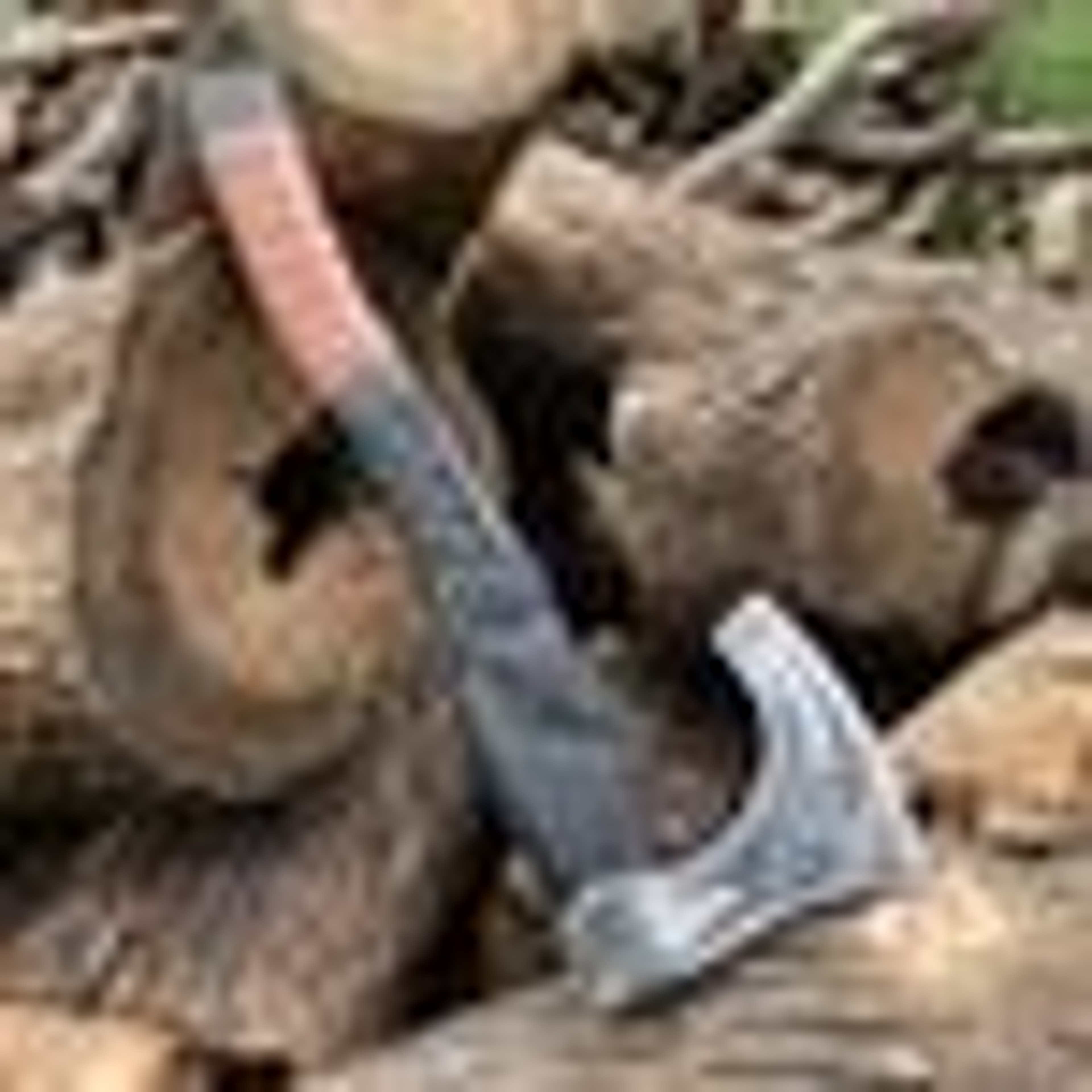 5160 Carbon Steel Viking Raven Collectible Handcrafted Norse Decor With Leather Wrapped Hardwo 1