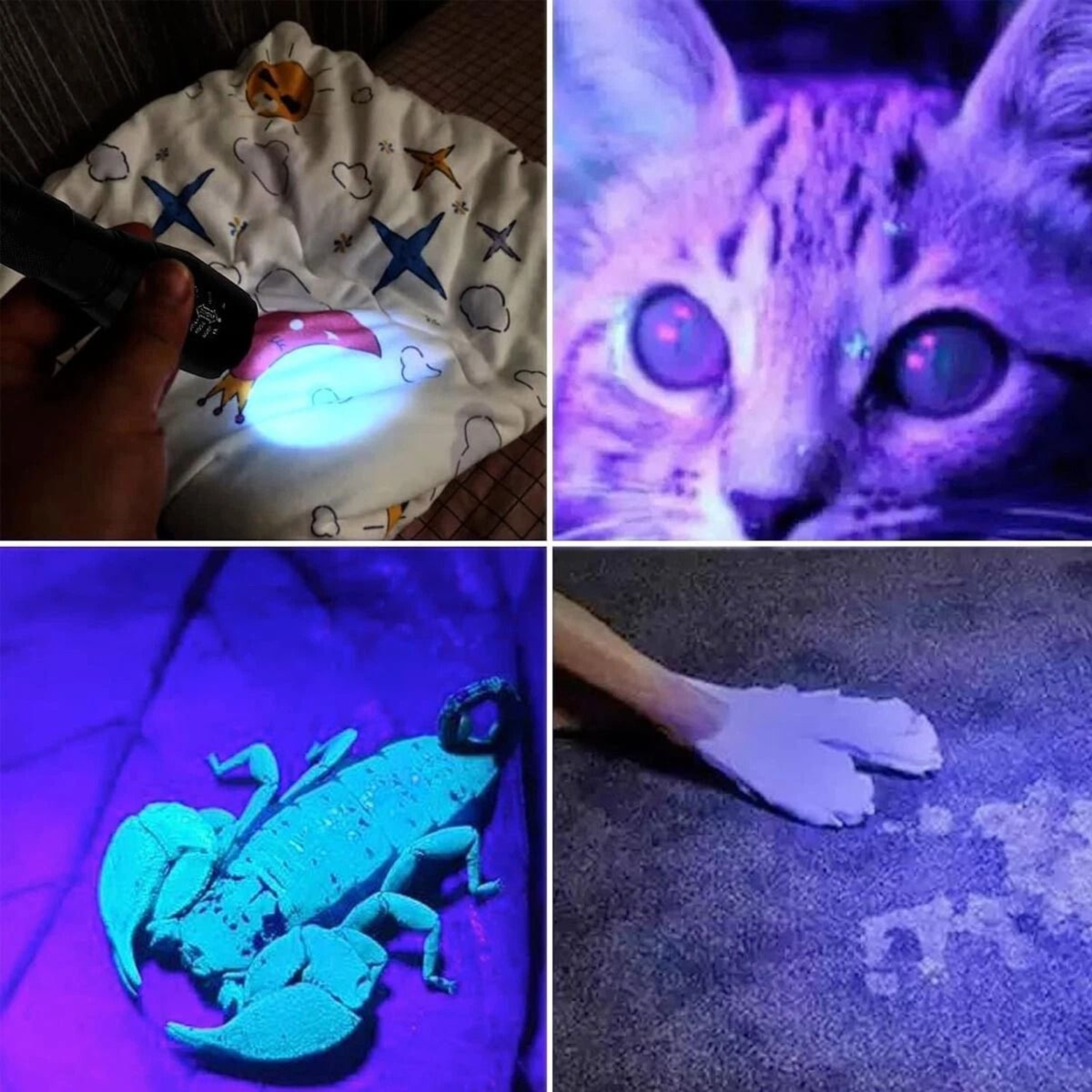 Blood Tracking UV Flashlights LED UV Light And White Lamp For Observation Hunting And Inspection 1