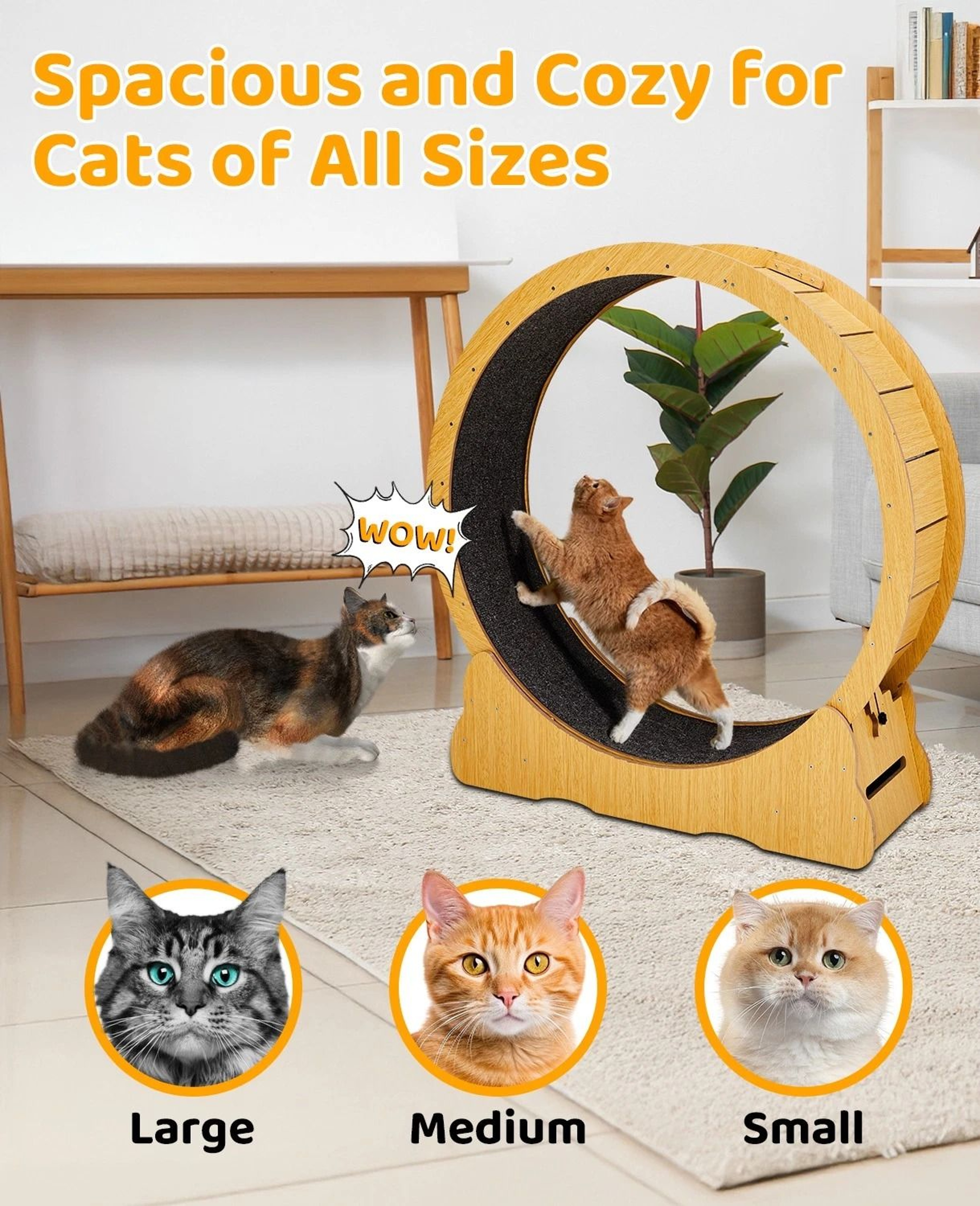 Natural Wood Portable Cat Running Treadmill Indoor Exerciser Wheel Toy For Cats And Kittens 4
