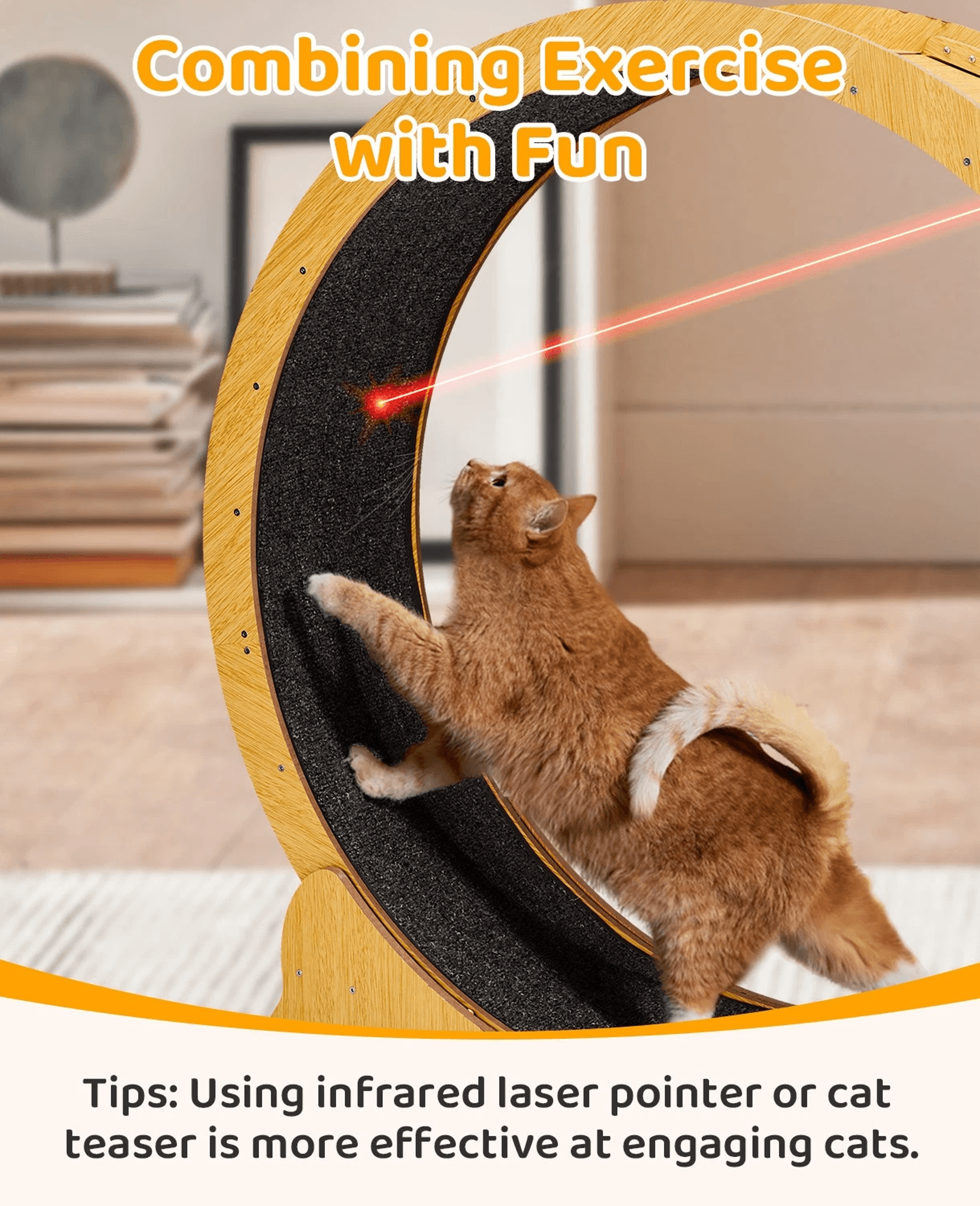 Natural Wood Portable Cat Running Treadmill Indoor Exerciser Wheel Toy For Cats And Kittens 8