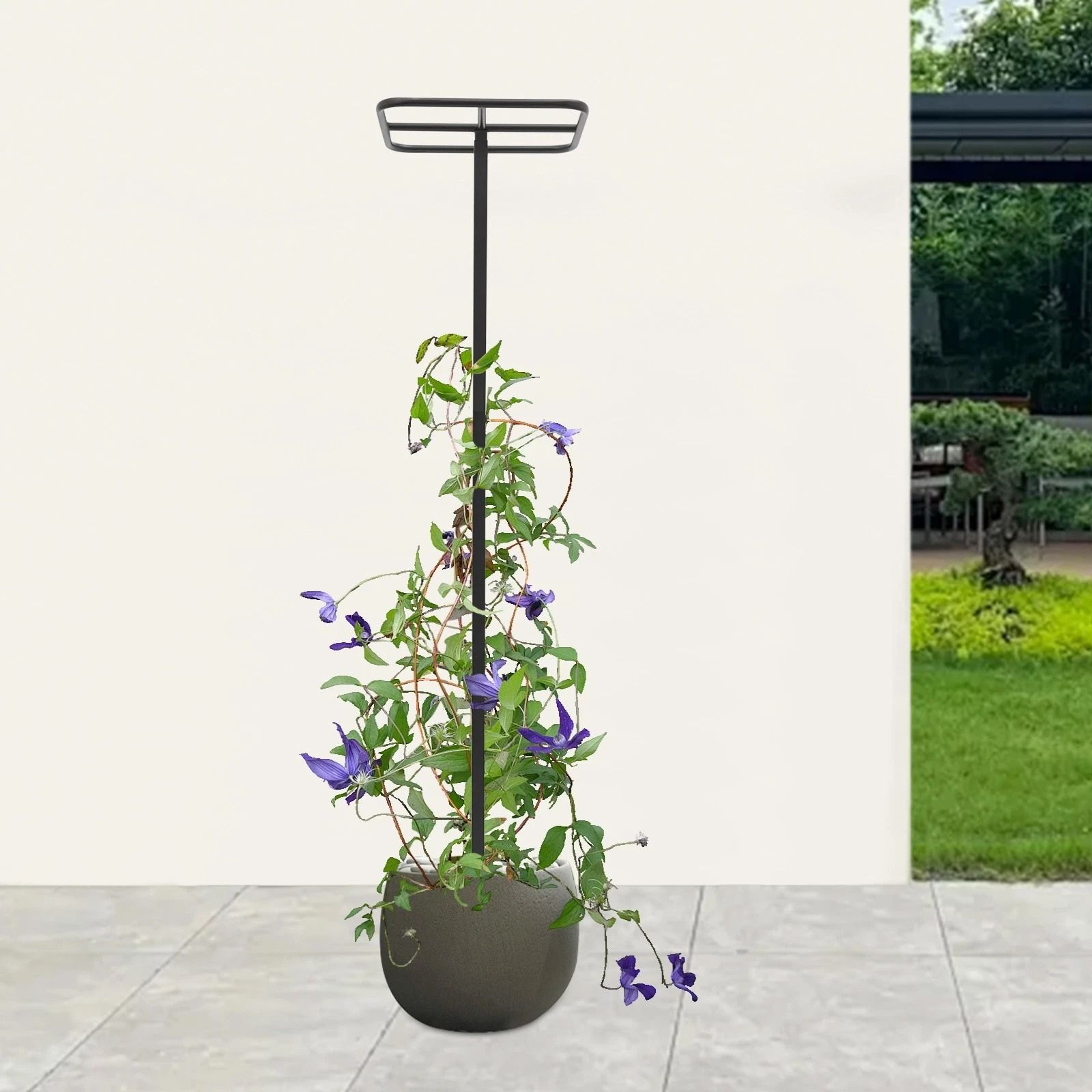 Adjustable Garden Plant Climbing Support Dragon Fruit Plant Trellis For Strong Growth 3