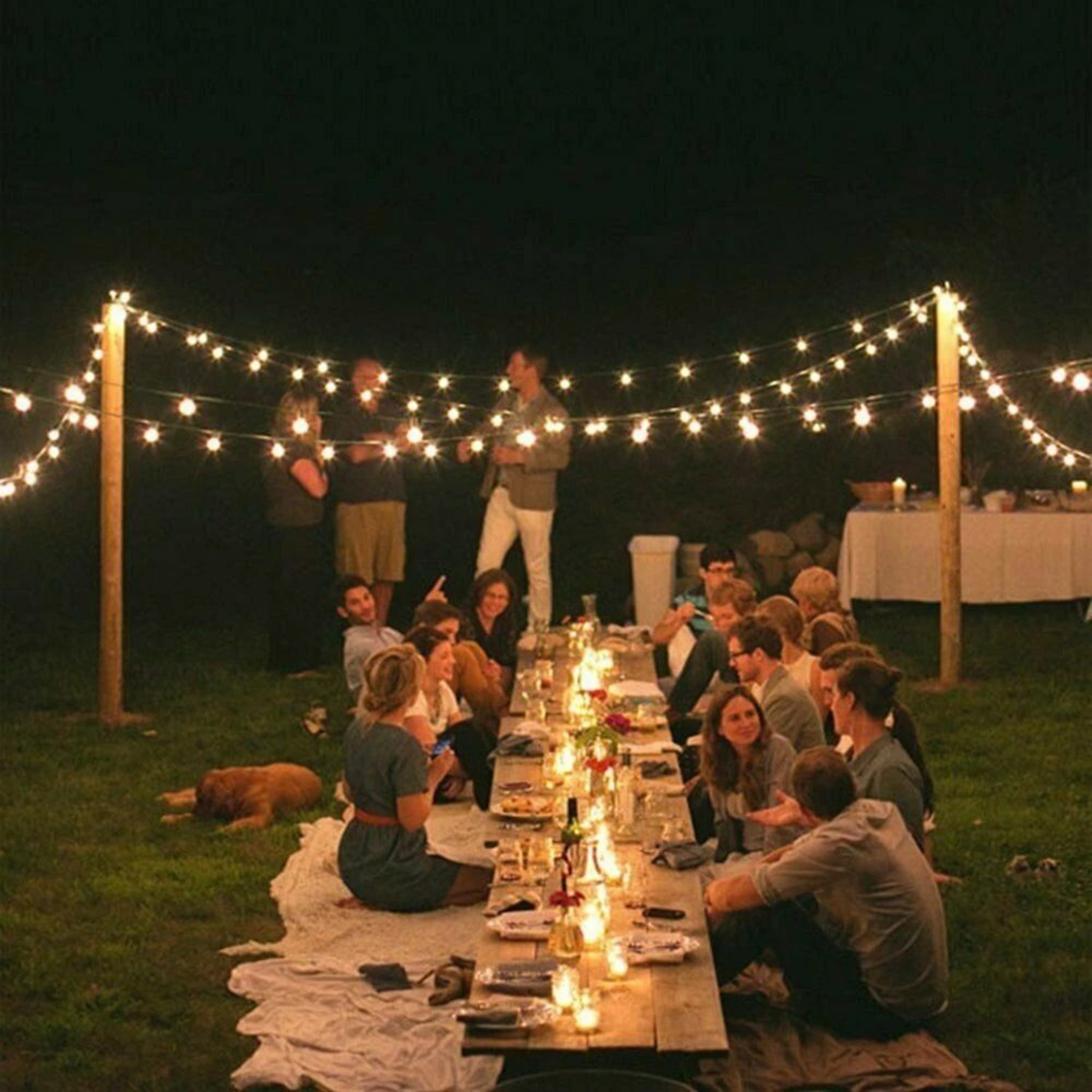 Solar Powered 30 LED String Lights Waterproof Garden Pathway Yard Decor Lamp For Outdoor Use 8