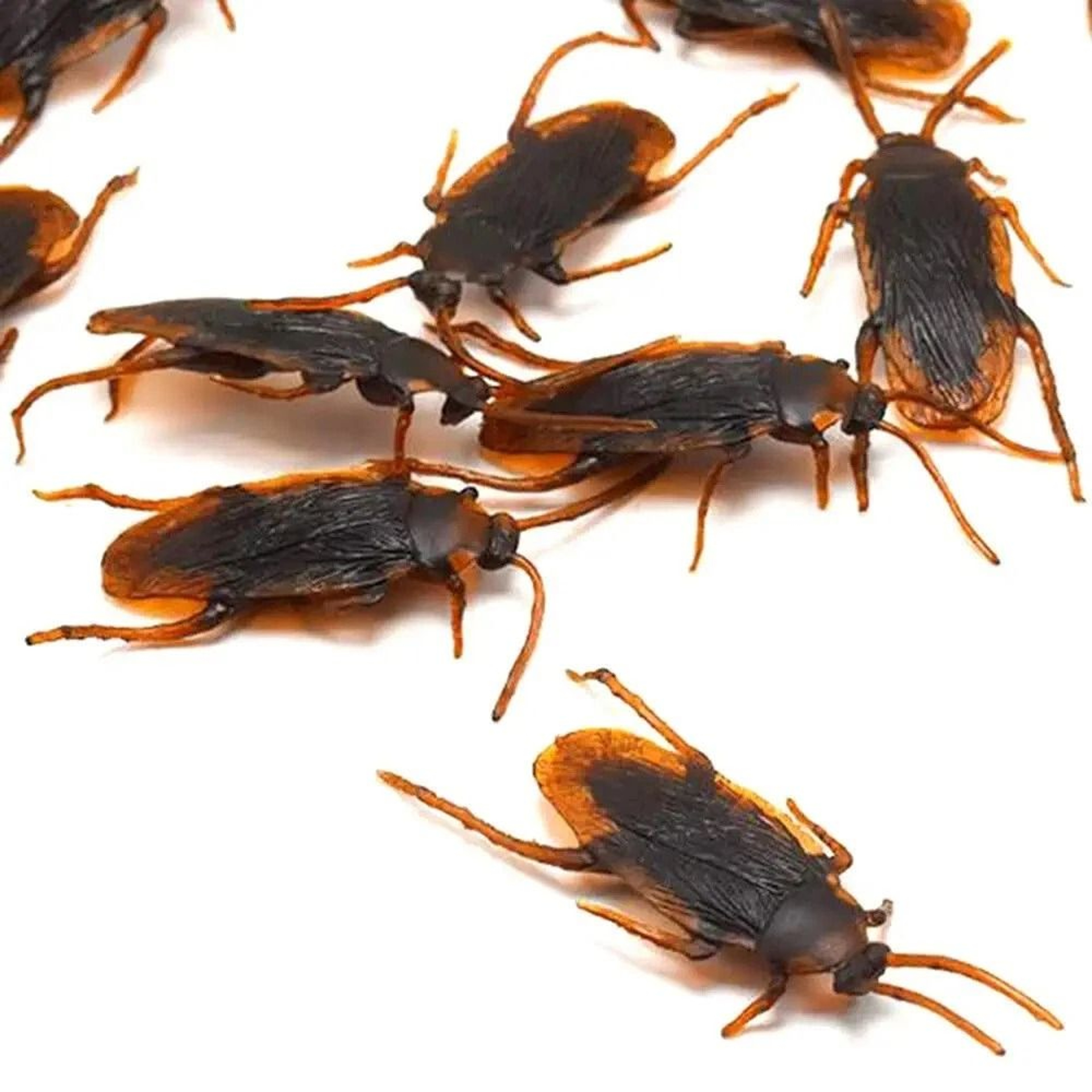 Realistic Fake Prank Cockroaches Rubber Creepy Gag Toy Set 1