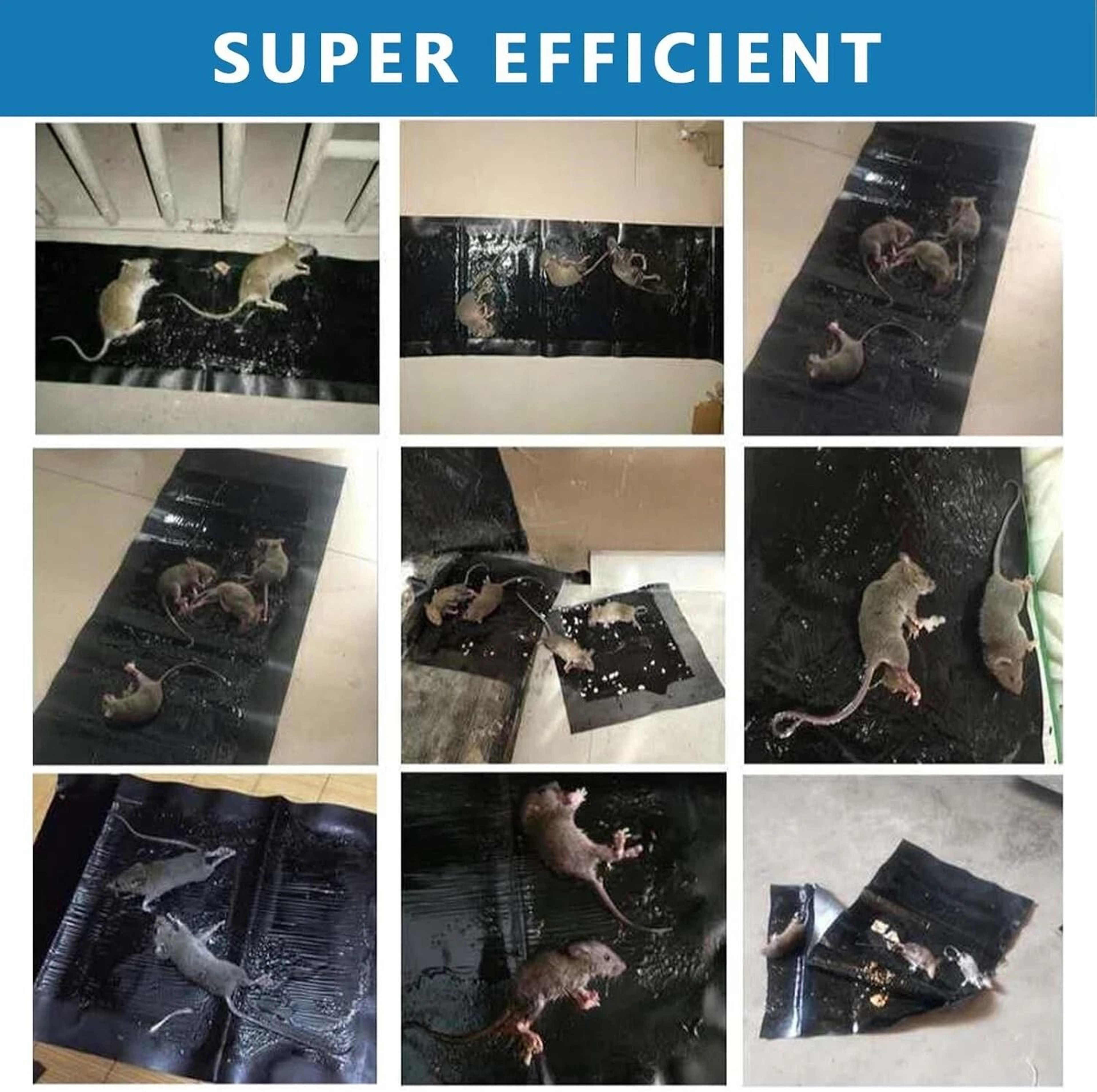Mouse Glue Traps Anti Slip Rodent Sticky Pads For Mice Rats And Snakes 4