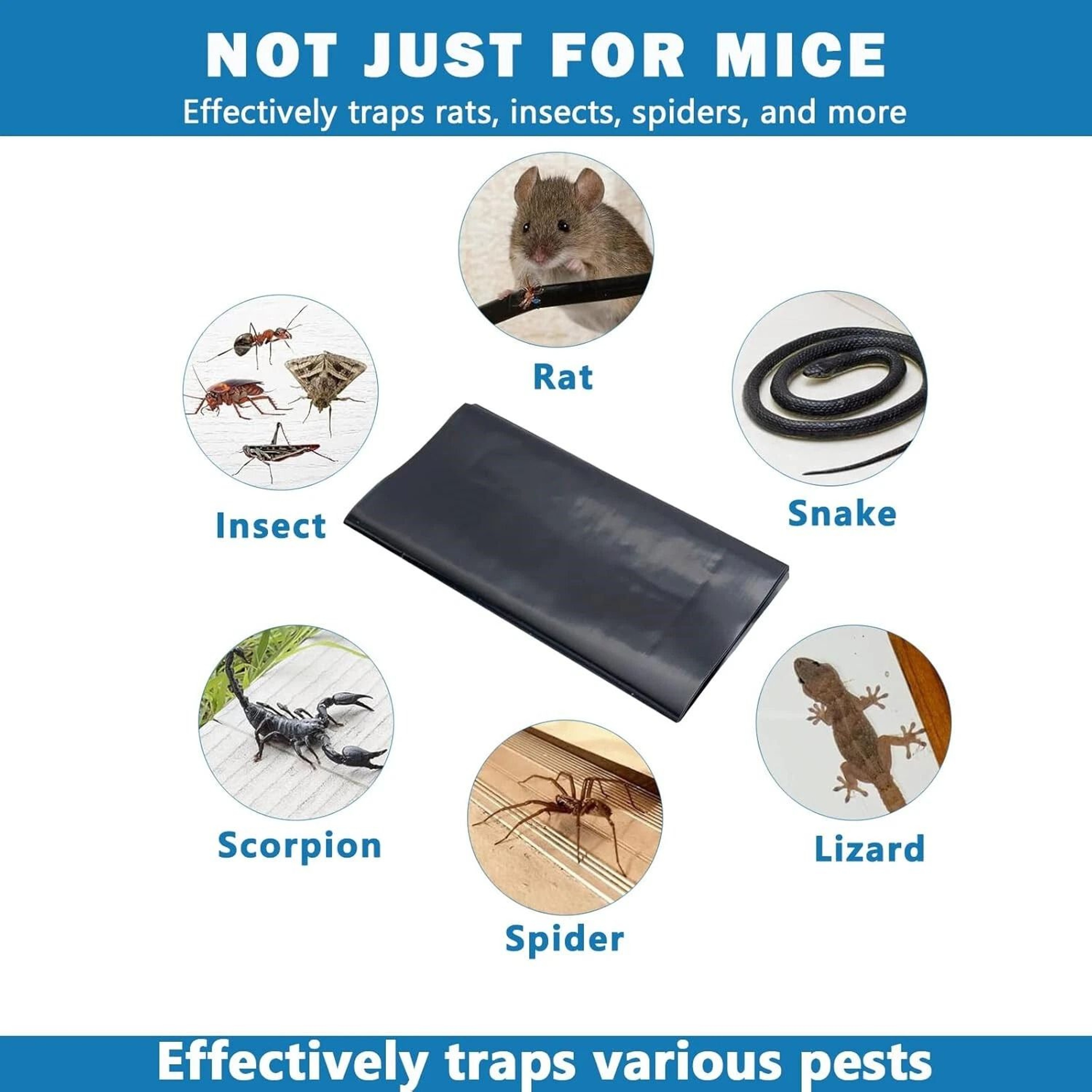 Mouse Glue Traps Anti Slip Rodent Sticky Pads For Mice Rats And Snakes 5