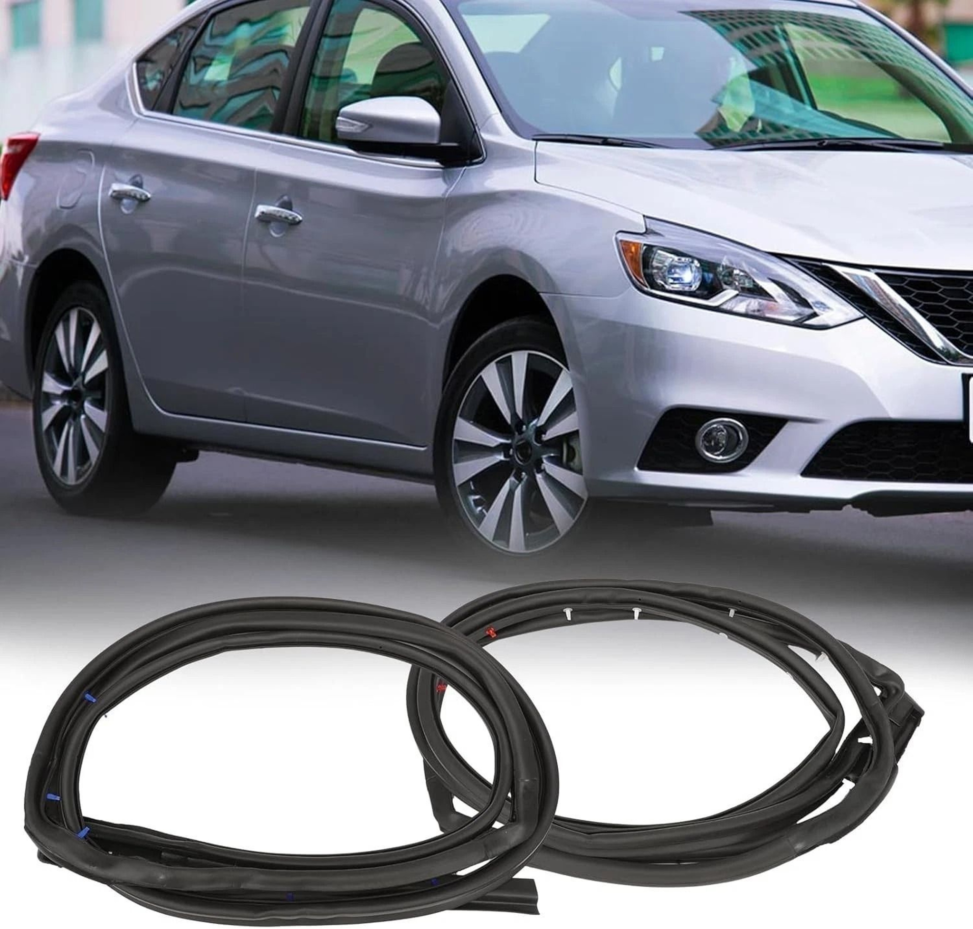 Nissan Sentra Rear Door Weatherstrip Seal Pair Left And Right 0