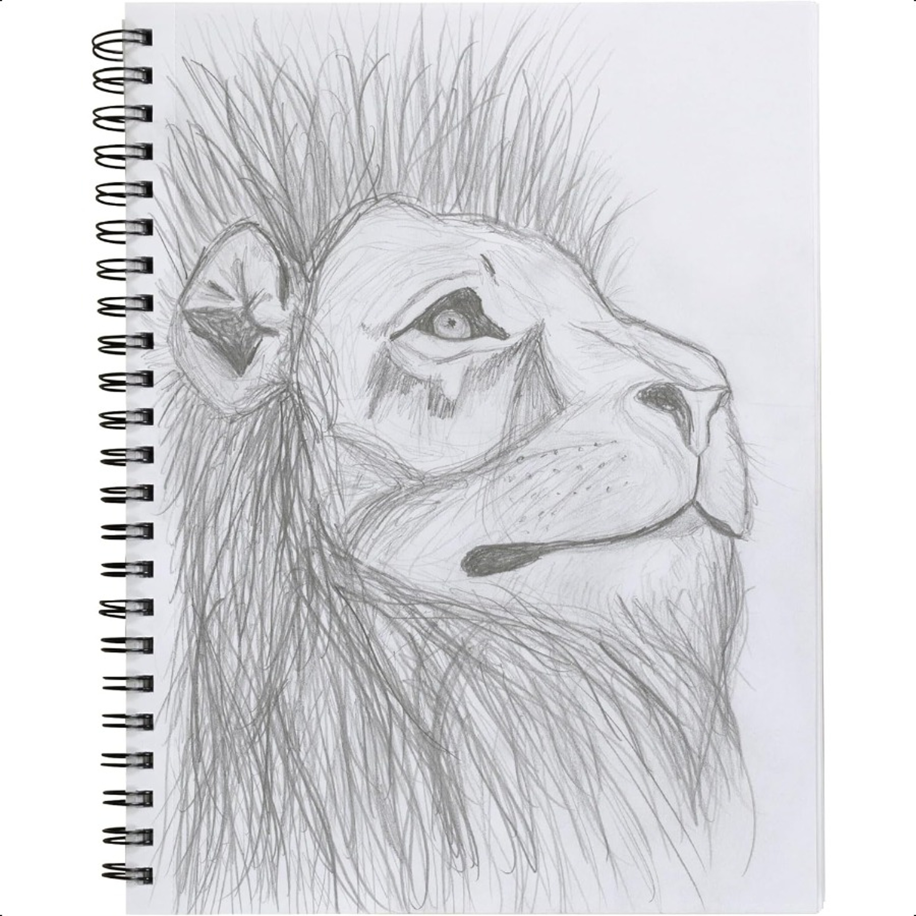 Heavyweight Black Sketch Book 9x12 for Artists with 75 Acid Free Sheets – view 4