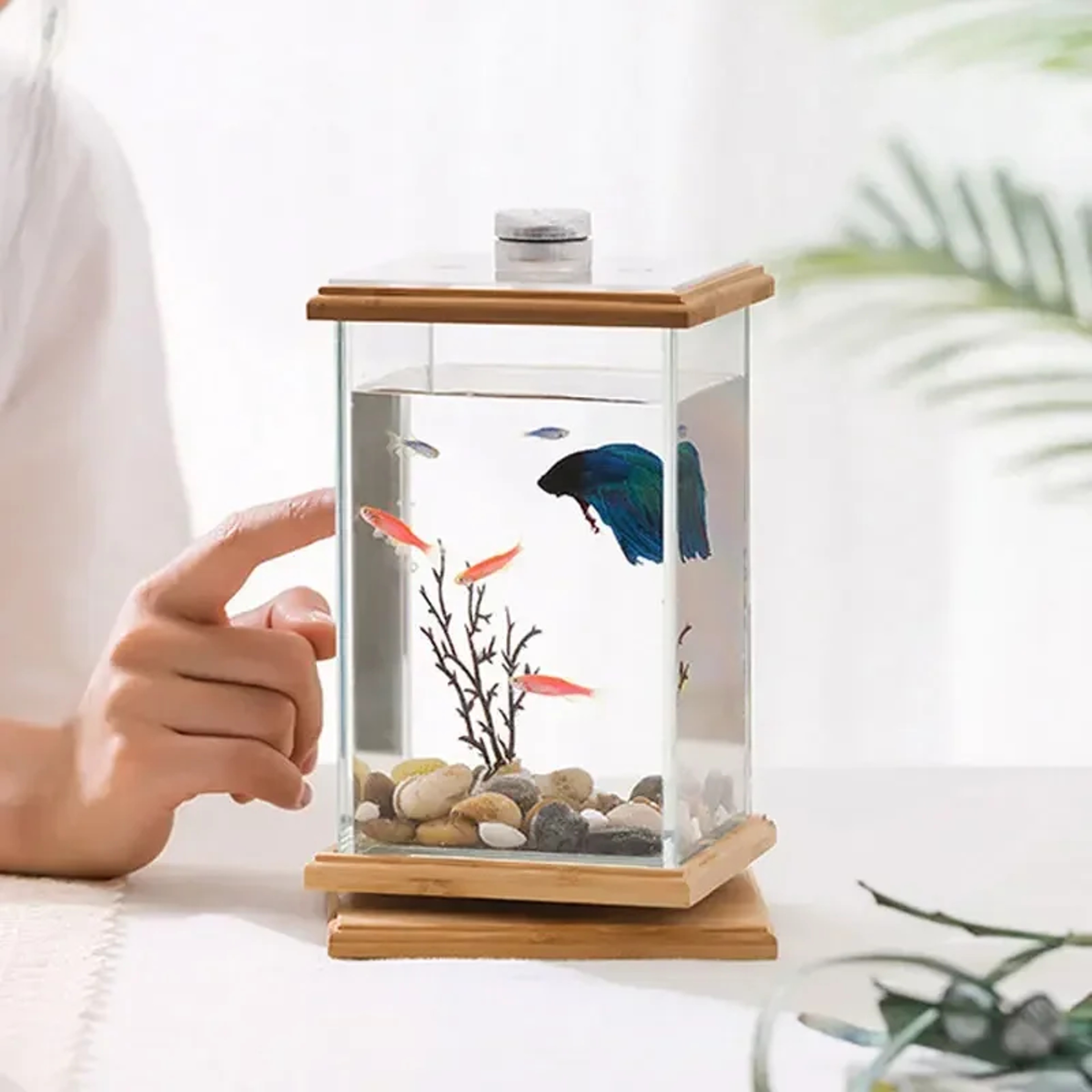 Mini Rotating Aquarium LED Cylindrical Fish Tank Desktop Glass Aquarium Decoration For Office And H 0