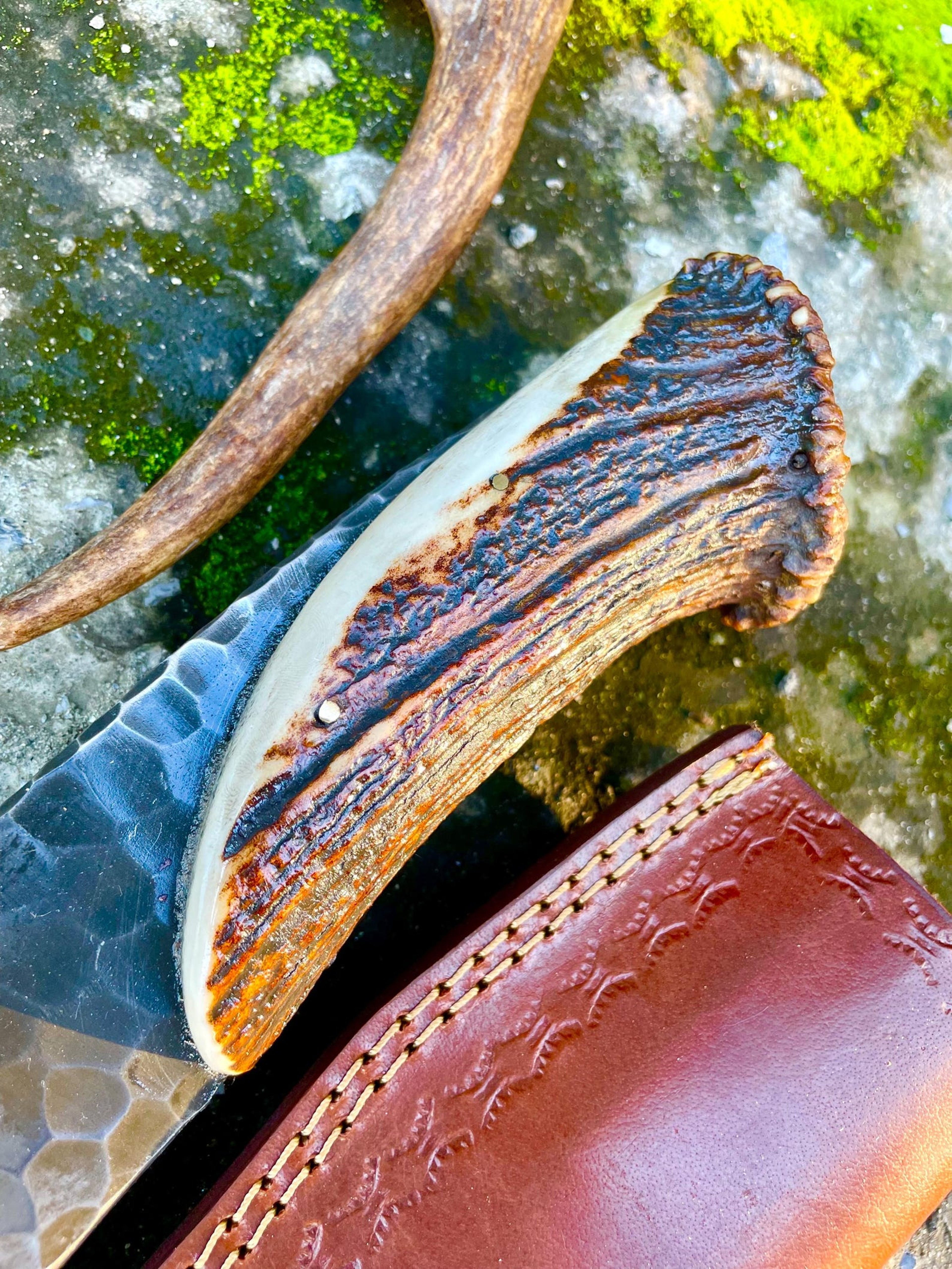 Hand Forged Stag Handle Hunting Knife High Carbon Steel Hunting Blade  Gift For Hunters  Husband GI 4