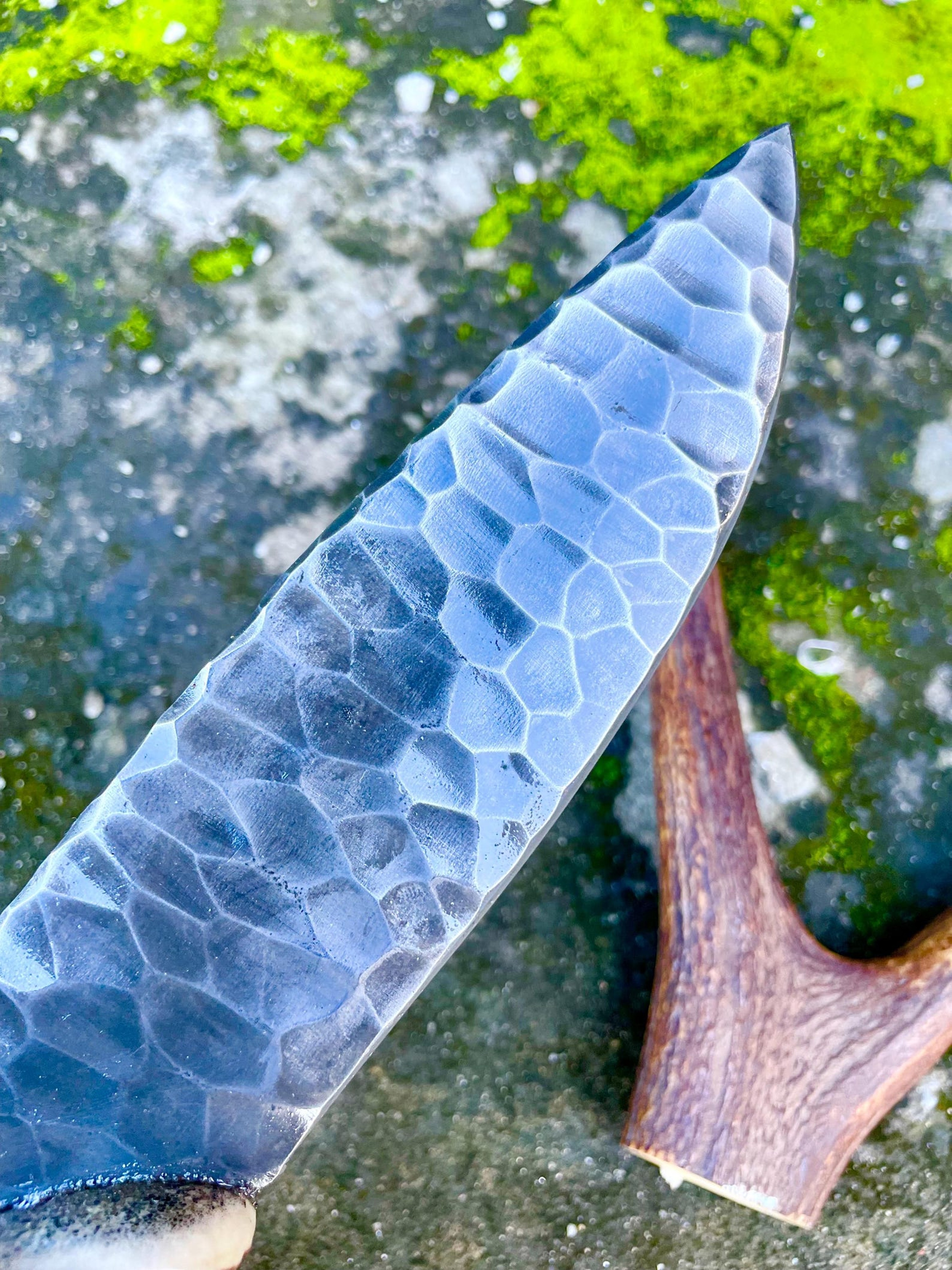 Hand Forged Stag Handle Hunting Knife High Carbon Steel Hunting Blade  Gift For Hunters  Husband GI 7