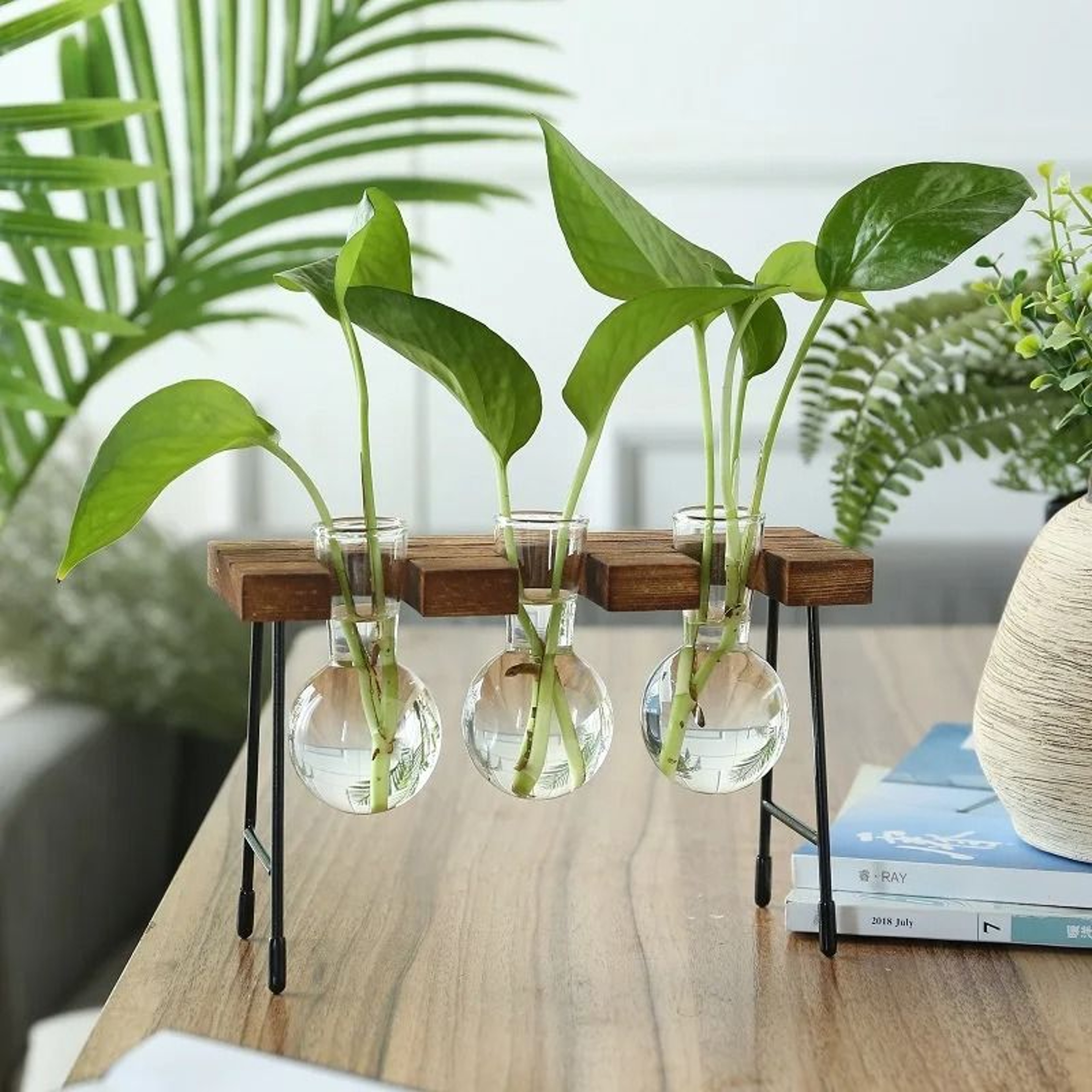 Hydroponic Plant Vase With Wooden Stand 15