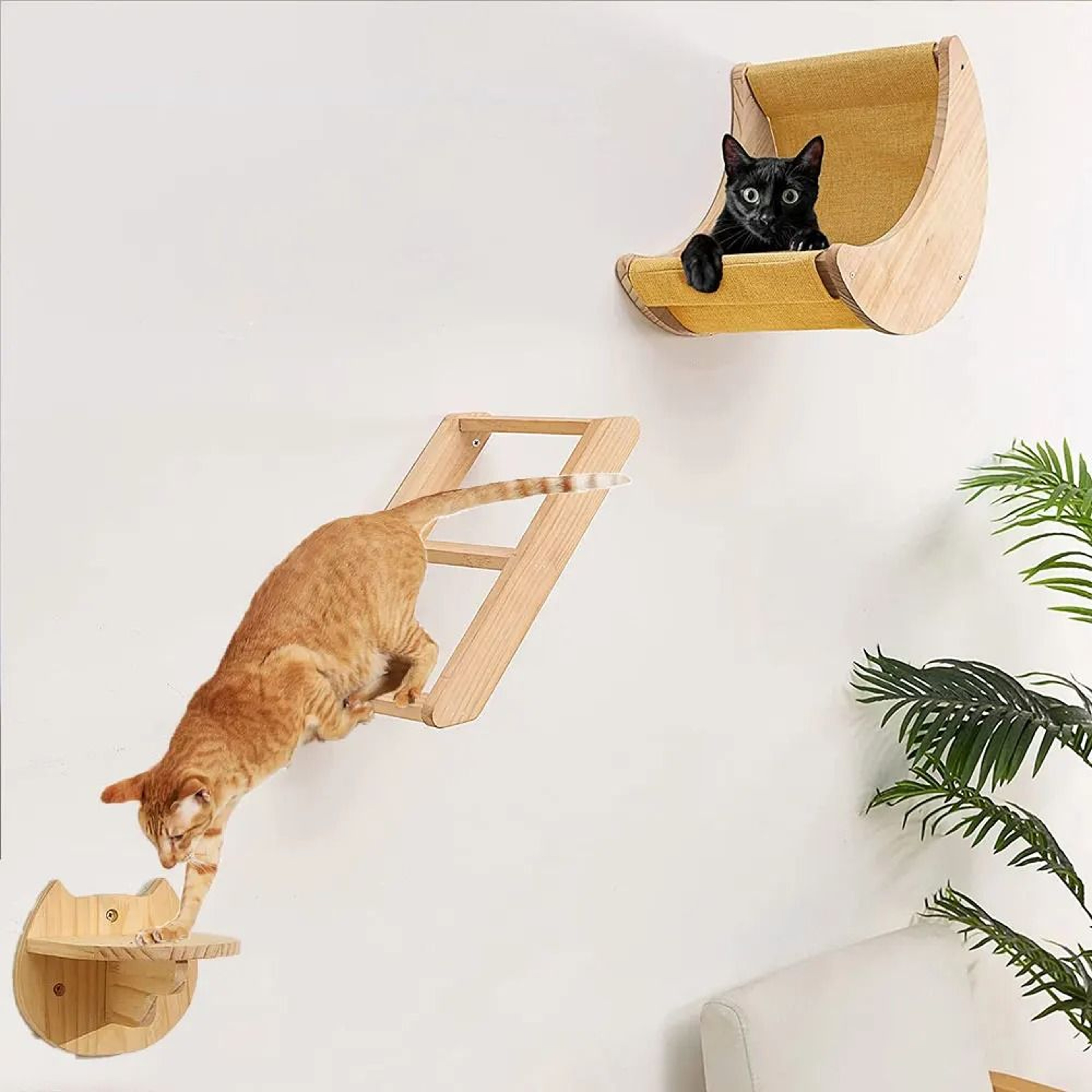 Cat Wall Climbing Shelves Set With Moon Perch Steps Ladder And Hammock Bed 0