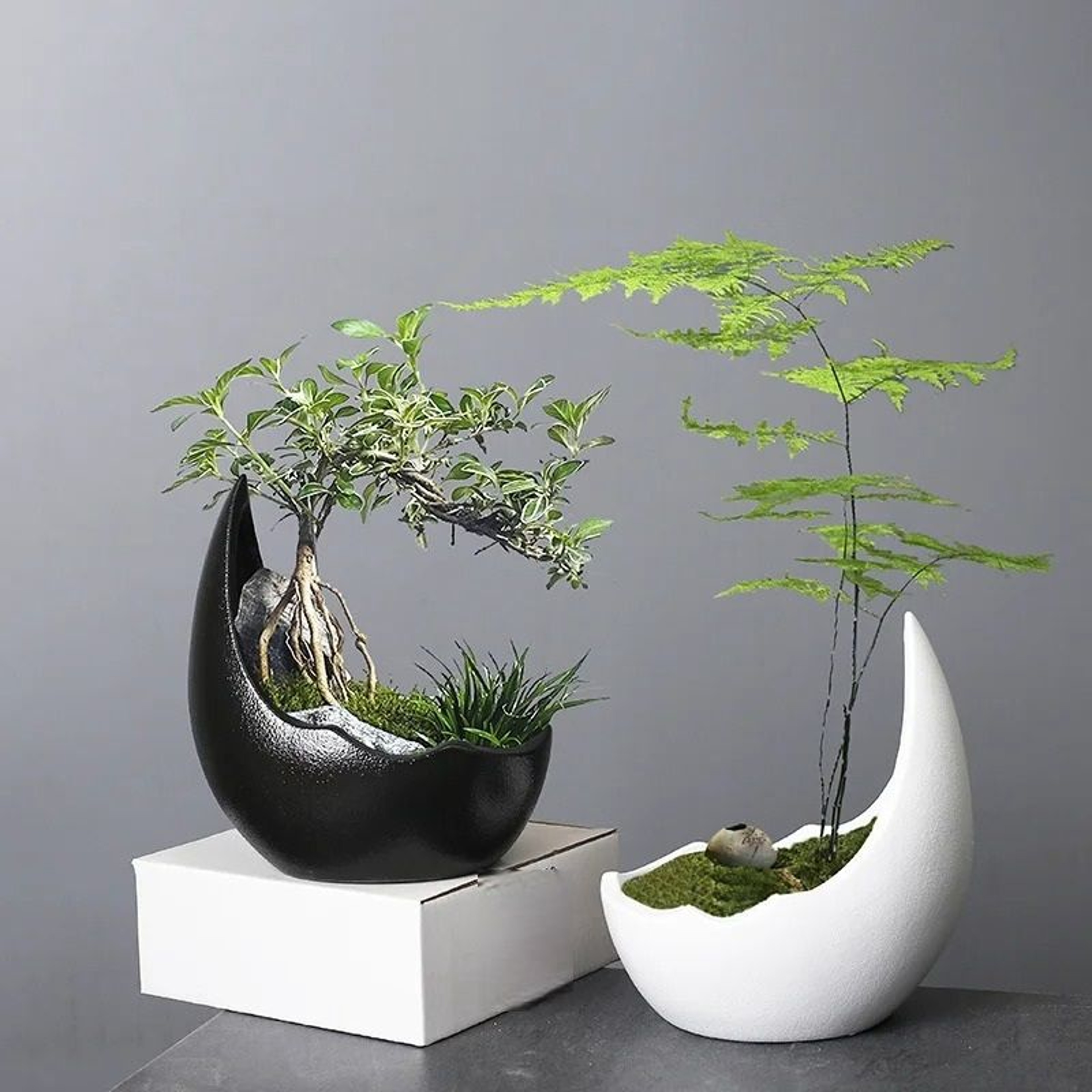 Rhinoceros Horn Ceramic Flower Pot Modern Succulent Planter Home Decoration 3