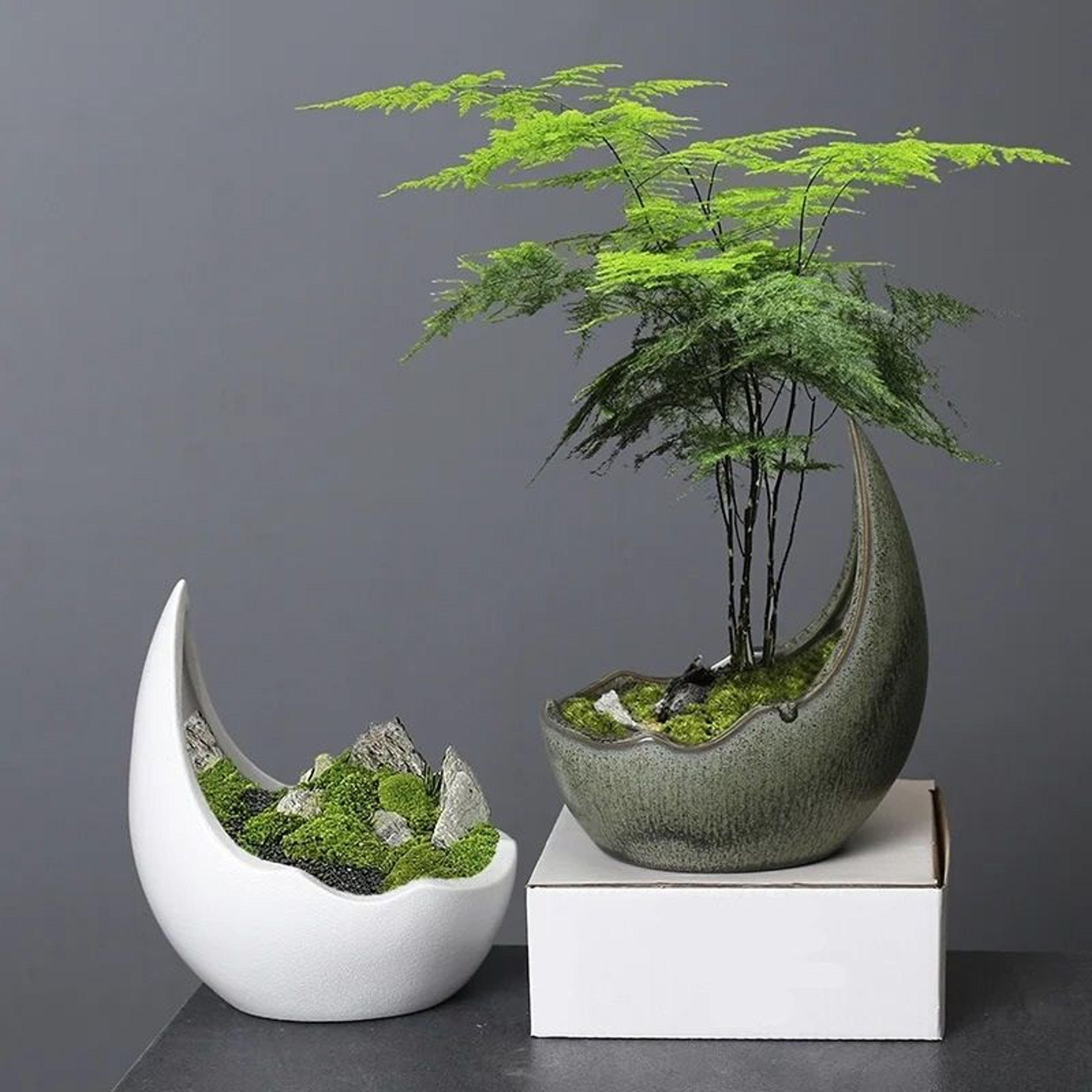 Rhinoceros Horn Ceramic Flower Pot Modern Succulent Planter Home Decoration 4