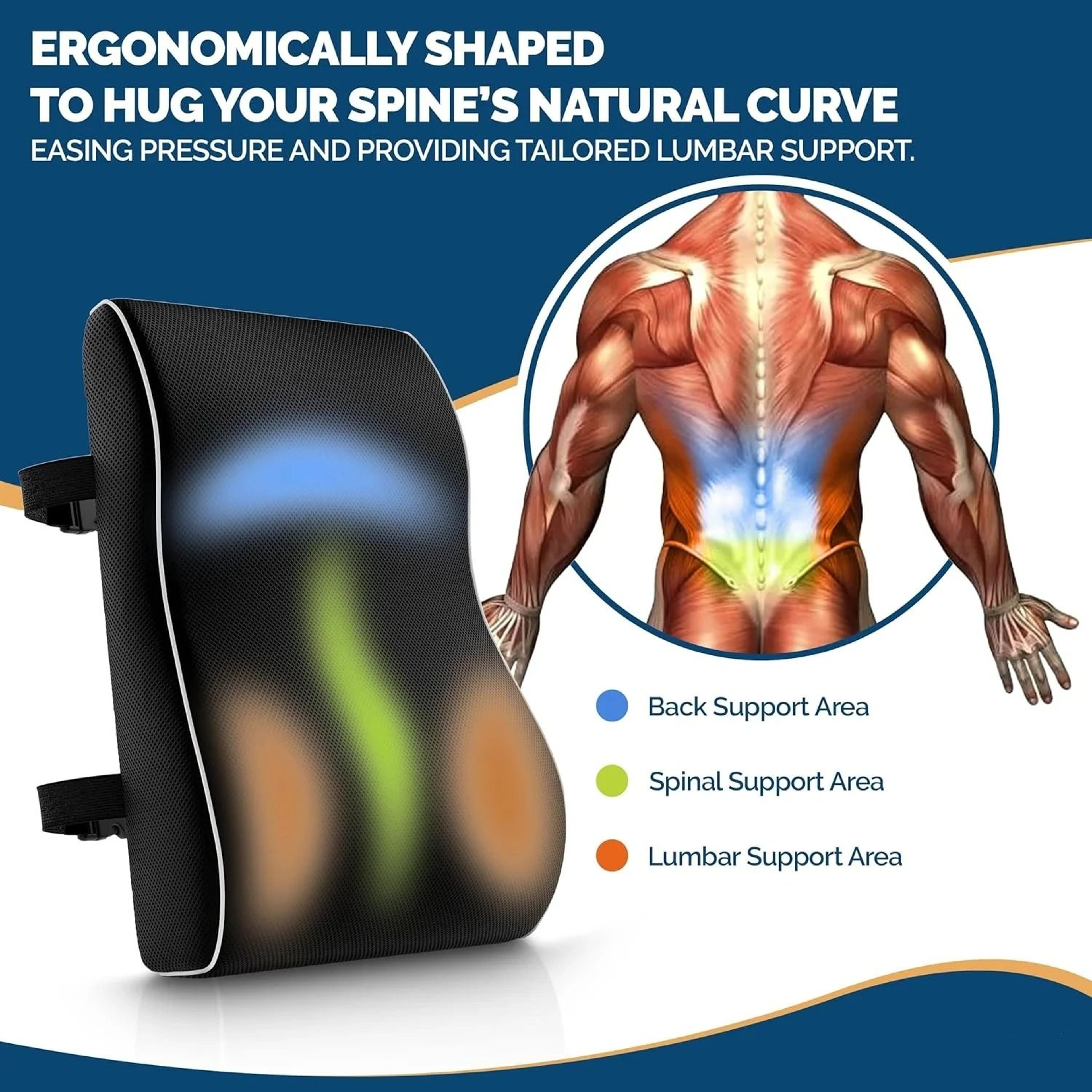 HighDefinition Memory Foam Lumbar Support Cushion 1