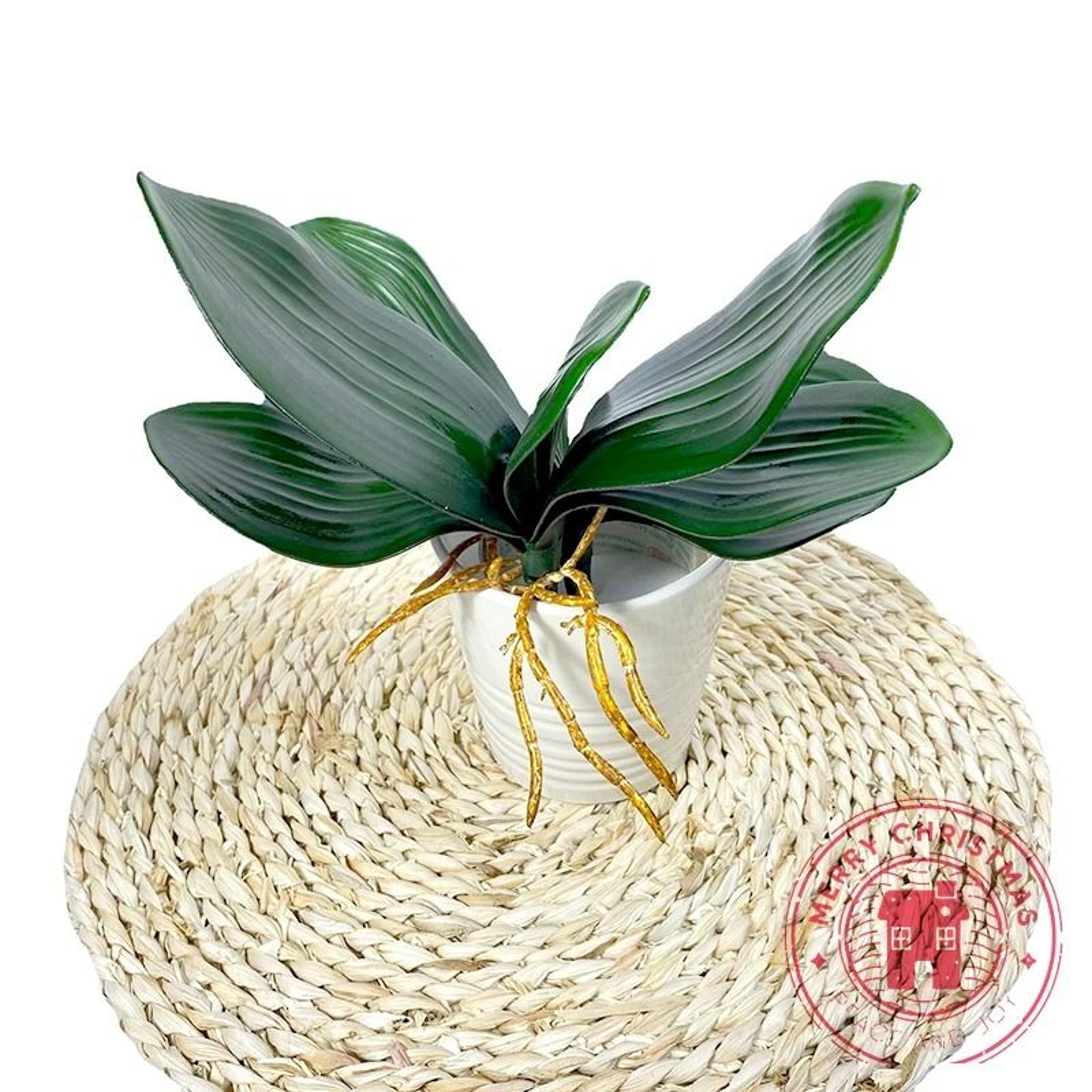 Phalaenopsis RealTouch Leaves  HighFidelity Orchid Foliage For Luxury Floral Arrangements  Living R 5
